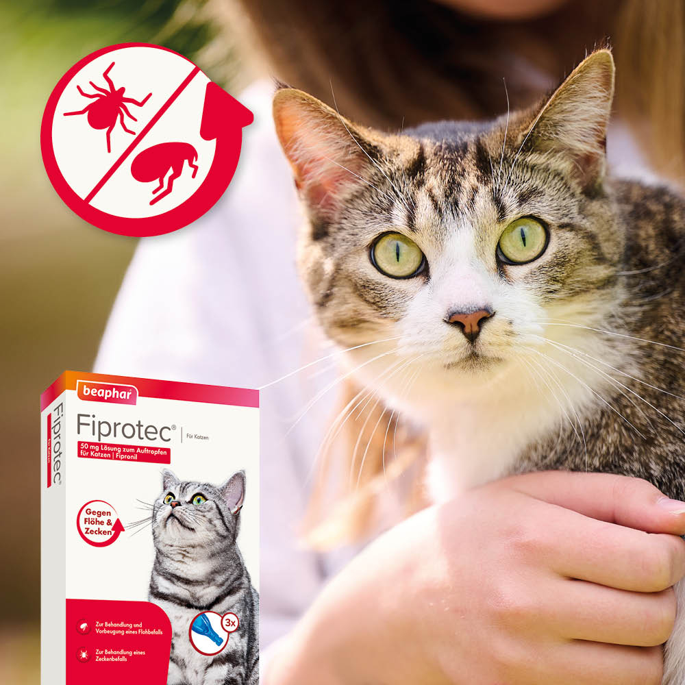 Fiprotec 50 mg Spot-On Lösung für Katzen