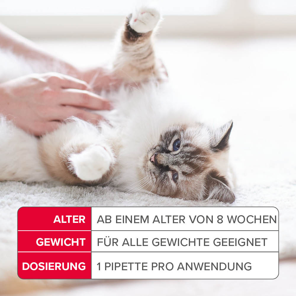 Fiprotec 50 mg Spot-On Lösung für Katzen