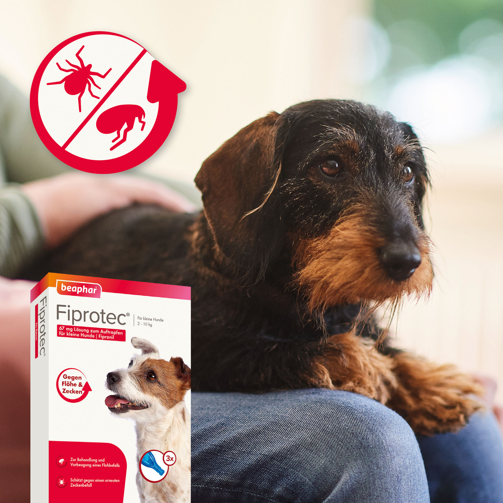 Fiprotec 67 mg Spot-On Lösung für kleine Hunde