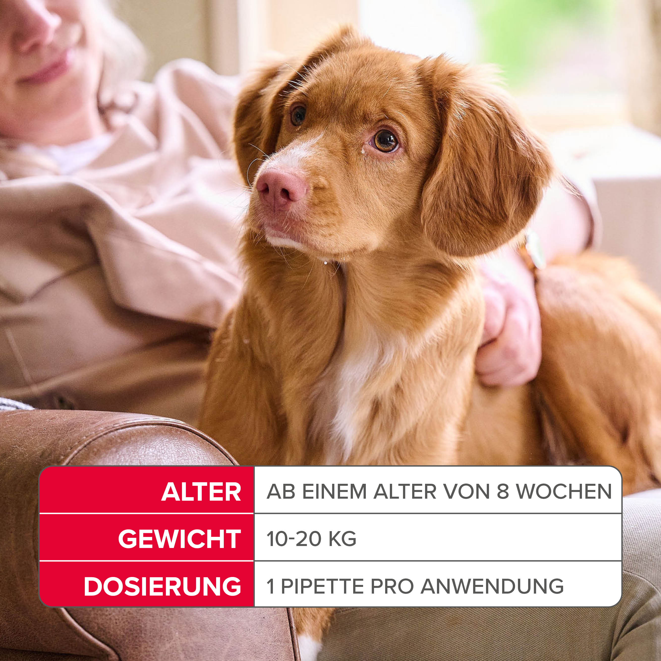 Fiprotec 134 mg Spot-On Lösung für mittelgroße Hunde
