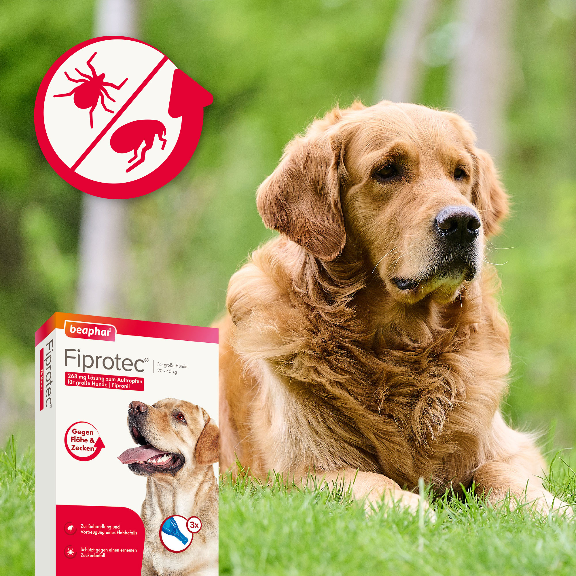 Fiprotec 268 mg Spot-On Lösung für große Hunde