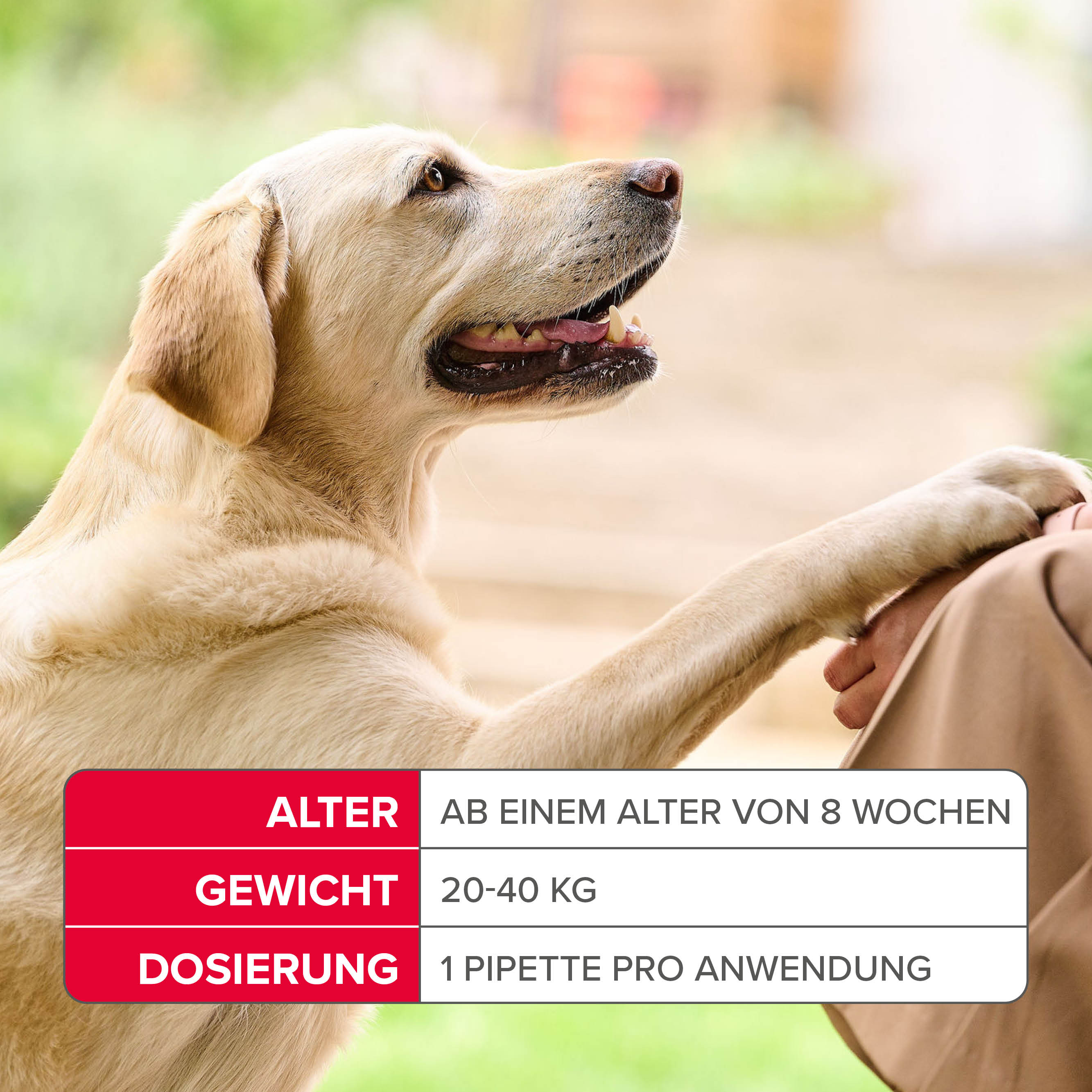 Fiprotec 268 mg Spot-On Lösung für große Hunde