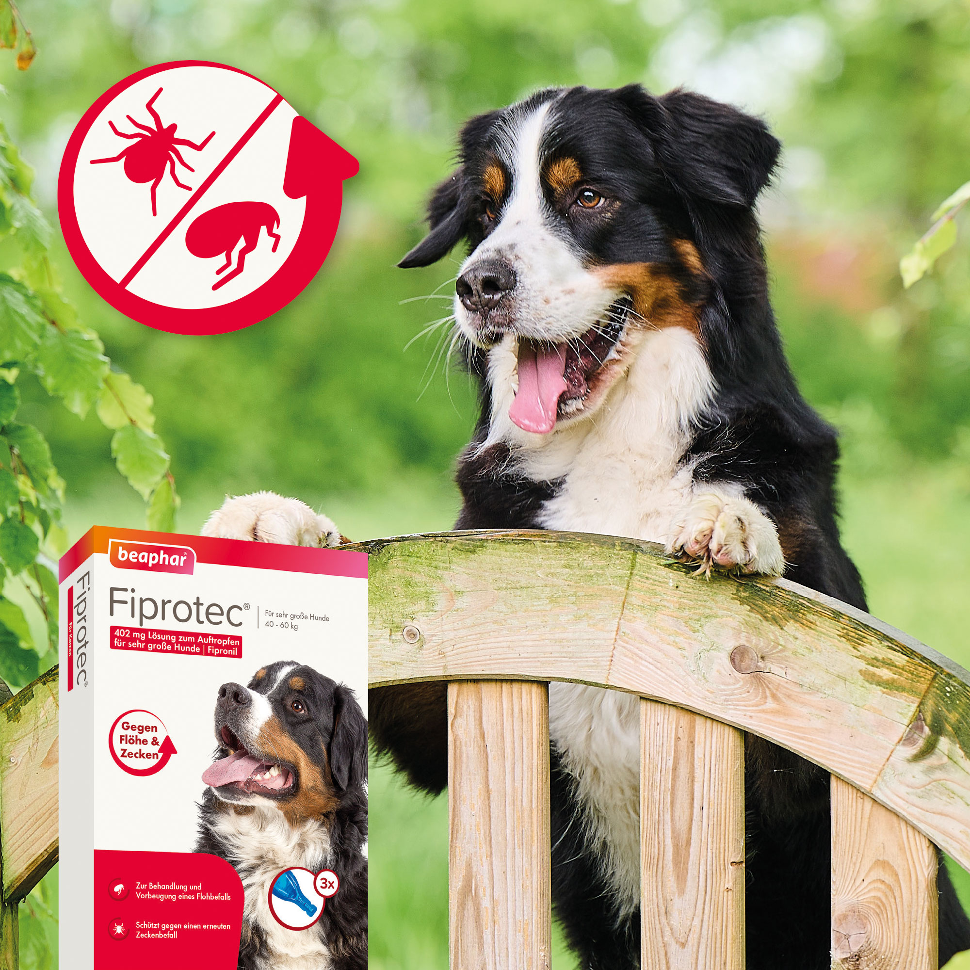 Fiprotec 402 mg Spot-On Lösung für sehr große Hunde