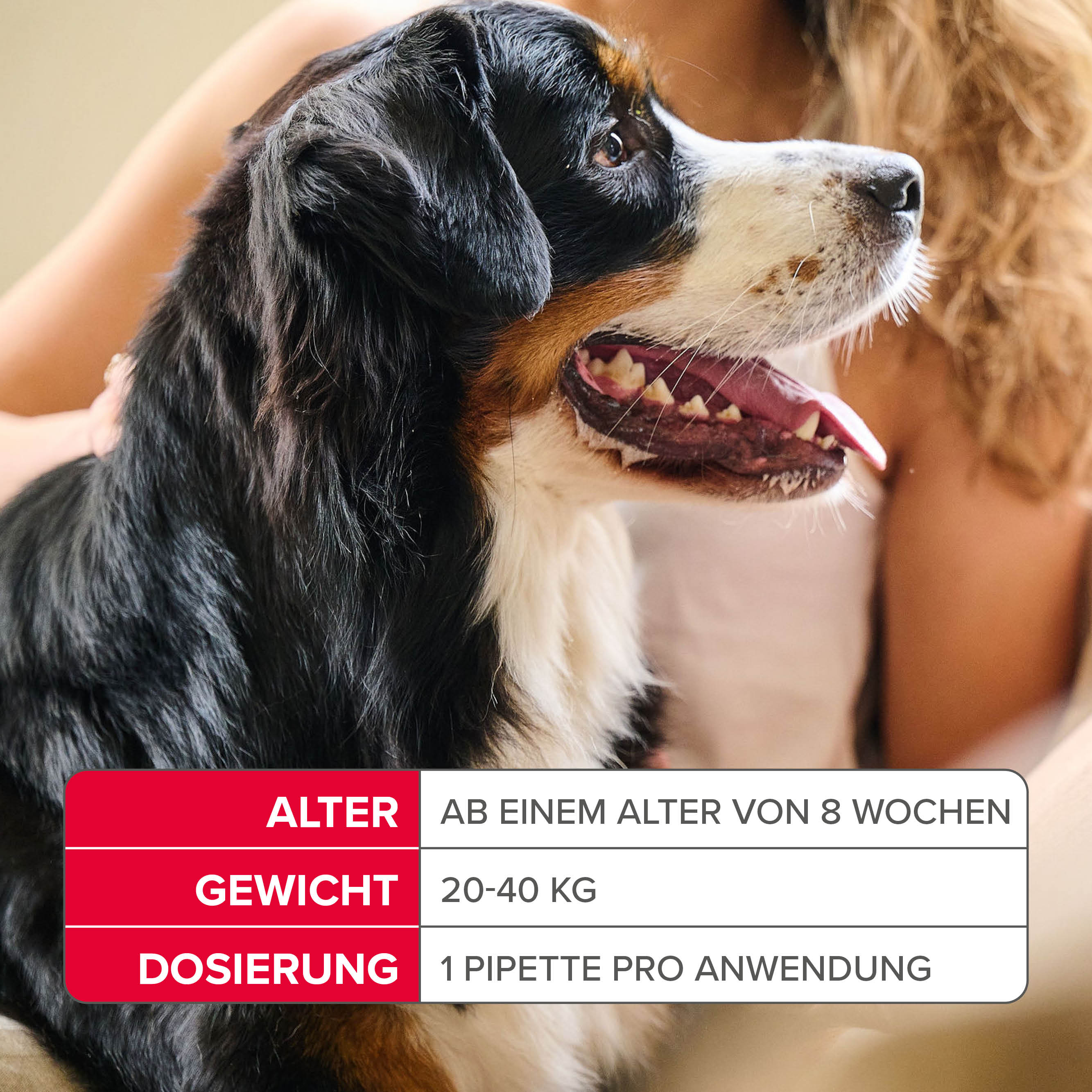 Fiprotec 402 mg Spot-On Lösung für sehr große Hunde