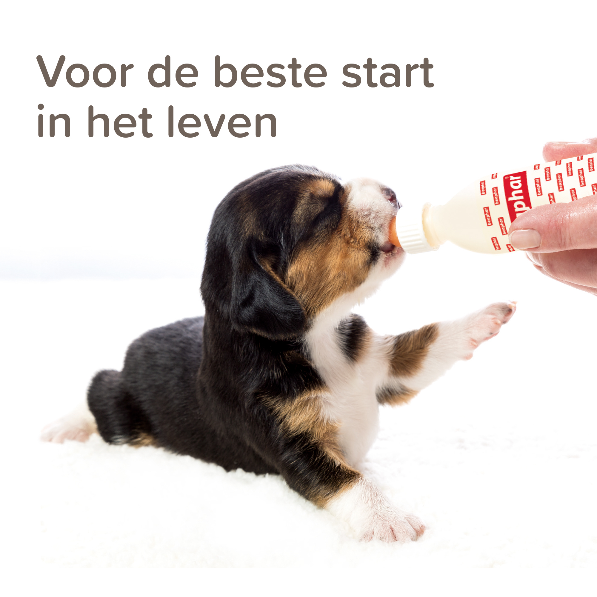 Beaphar Lactol Puppy Milk 1kg