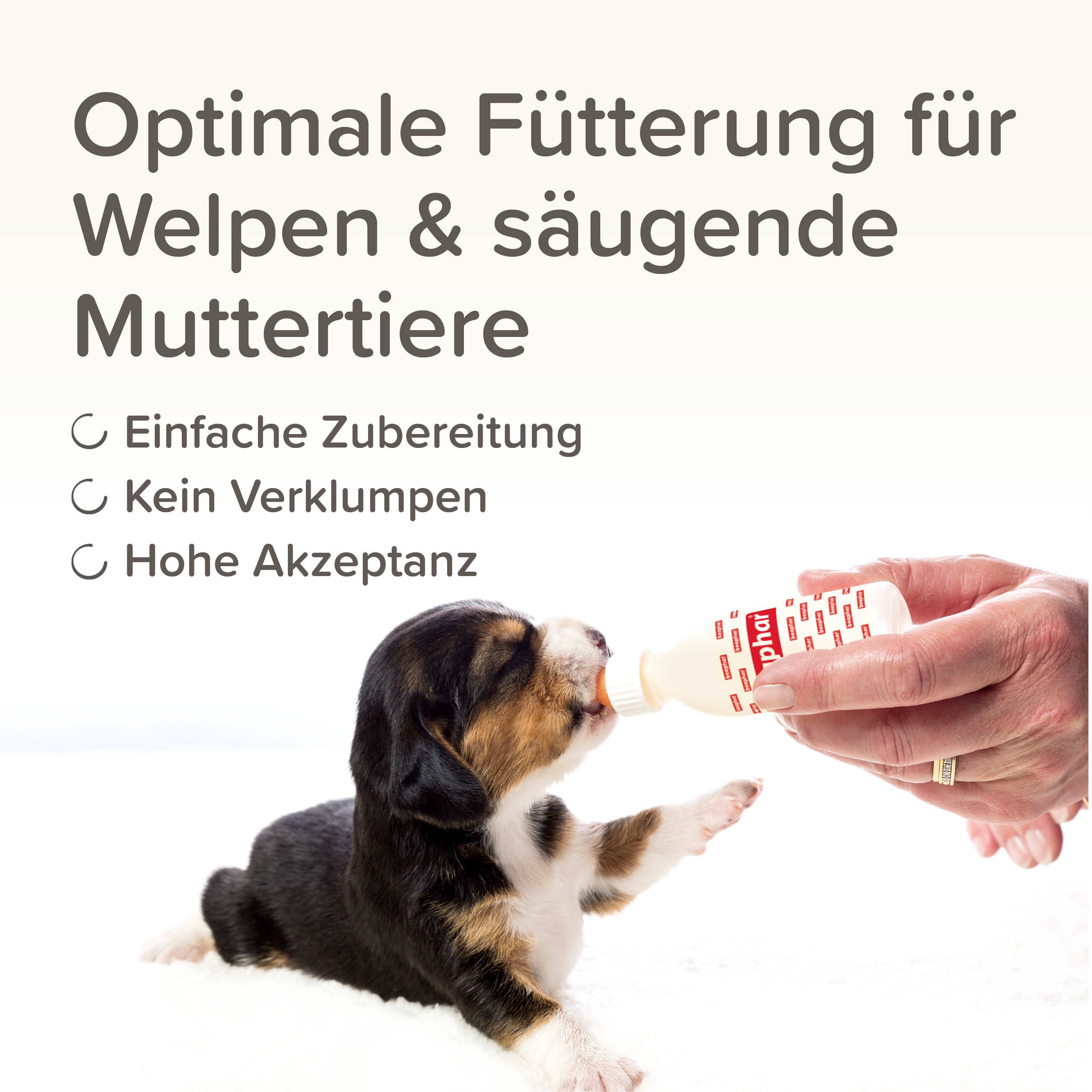 Beaphar Lactol Aufzucht-Milch Hund, 1kg