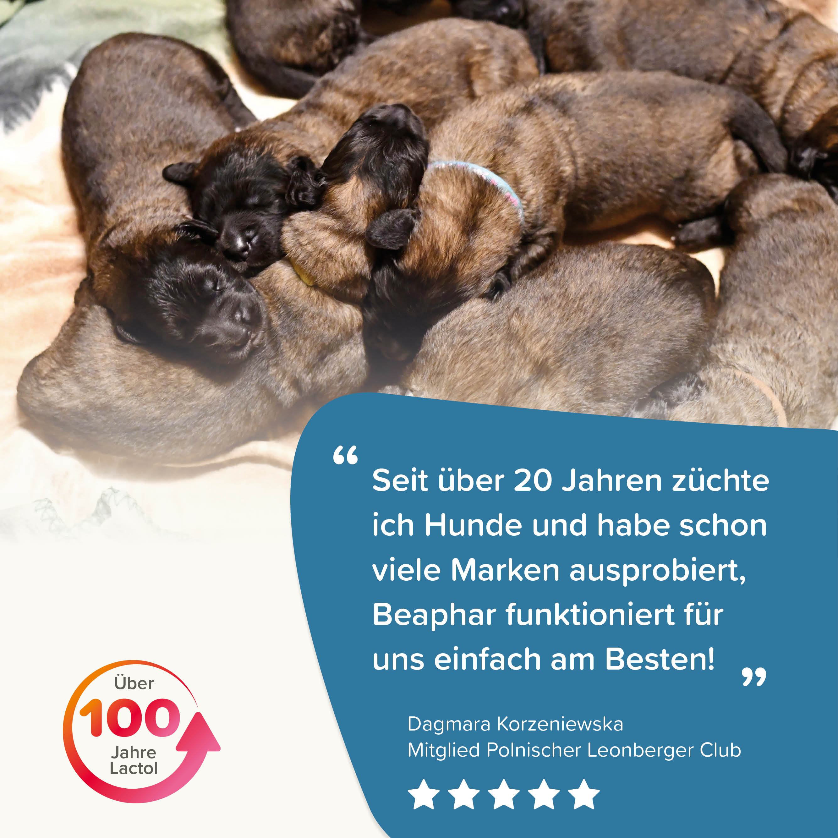 Beaphar Lactol Aufzucht-Milch Hund, 1kg