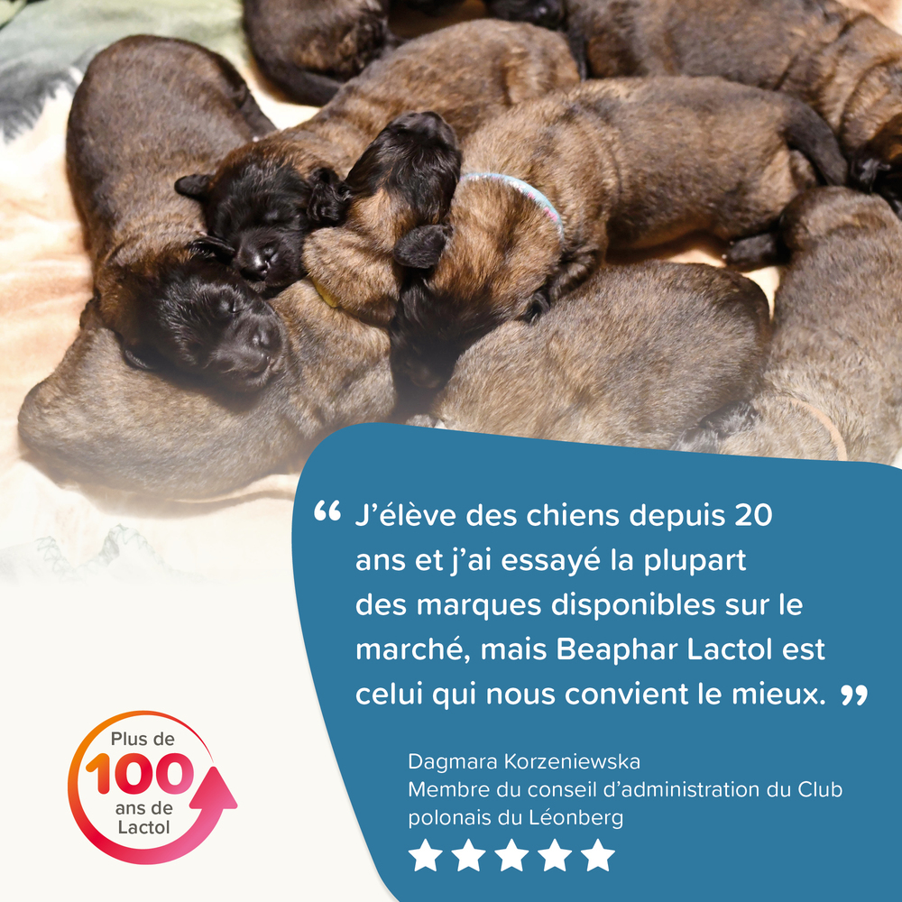 LACTOL, lait maternisé pour chiot