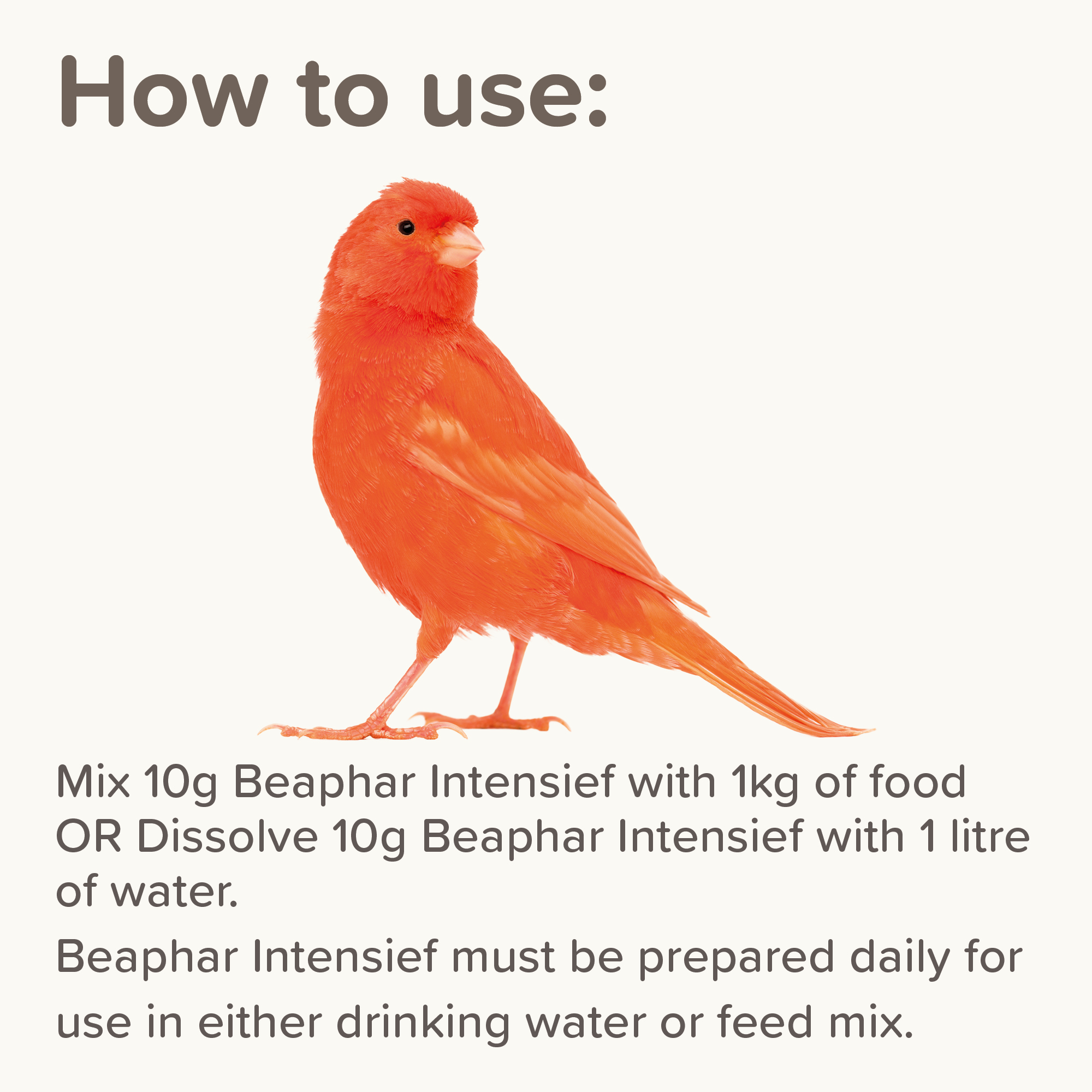 Beaphar Intensief for Coloured Birds, 500g