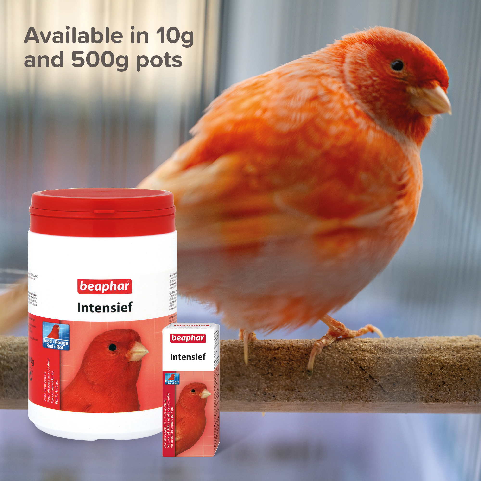 Beaphar Intensief for Coloured Birds, 500g