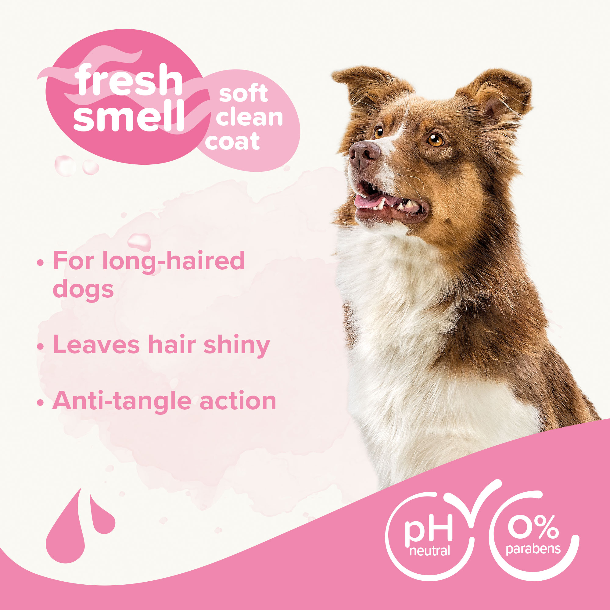 Shampoo Long Coat Dog Shampoo with Almond Oil & Aloe vera - 250ml