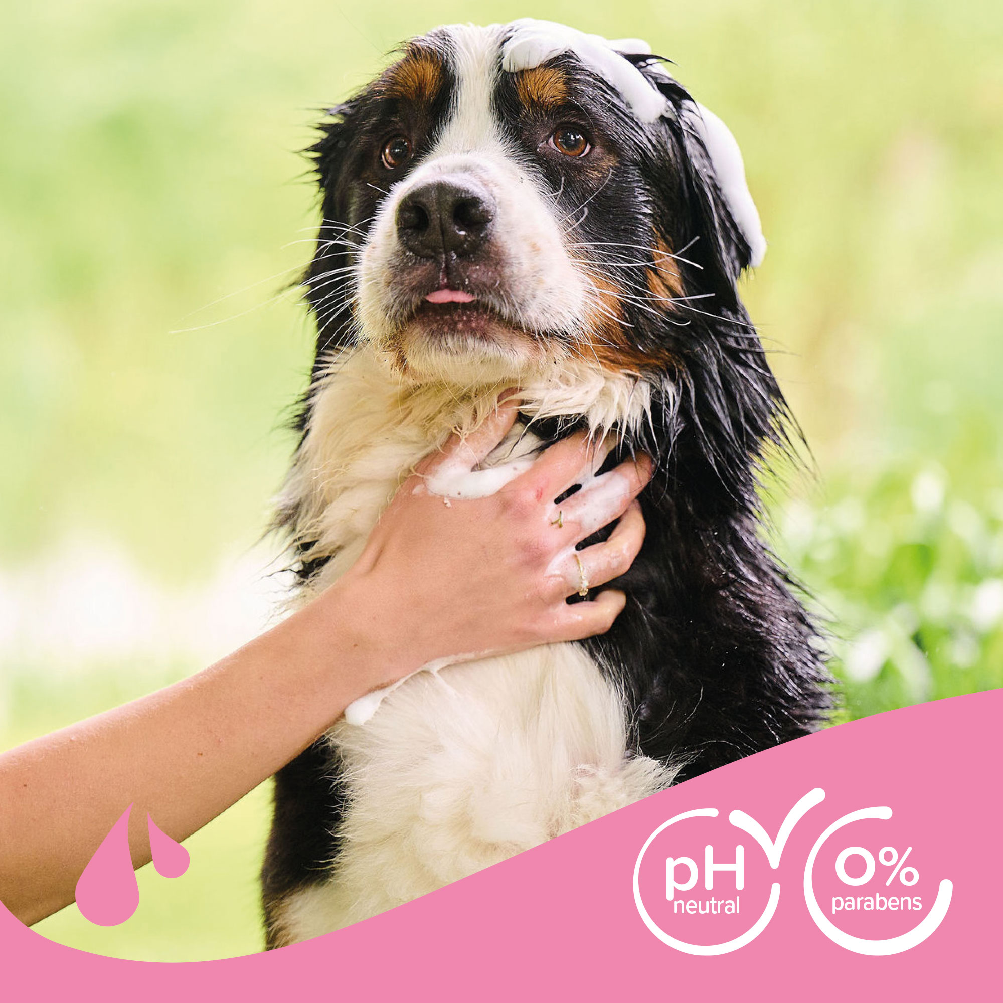 Shampoo Long Coat Dog Shampoo with Almond Oil & Aloe vera - 250ml