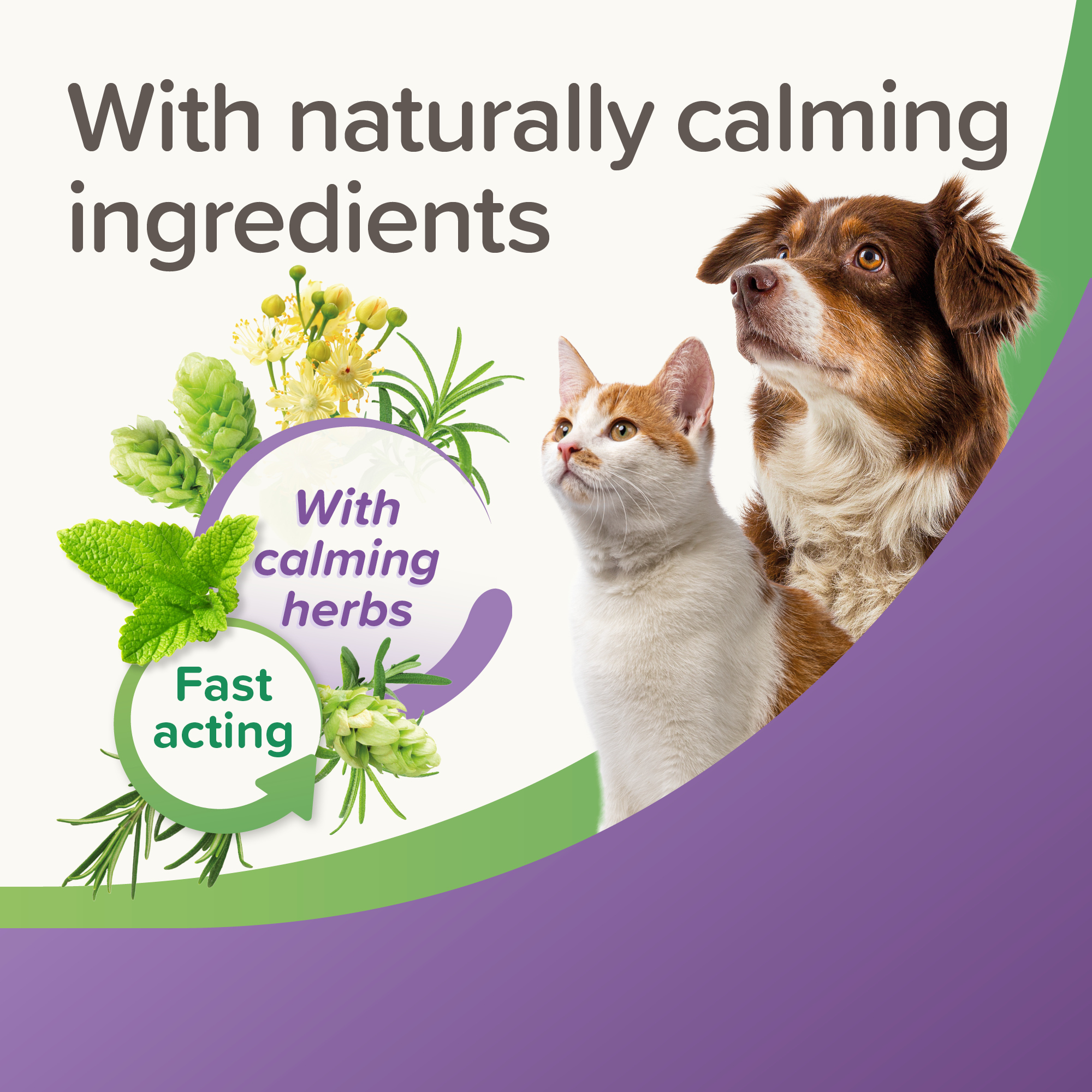 Beaphar StressLess Herbal Calming Tablets For Cats & Dogs, 20 tablets