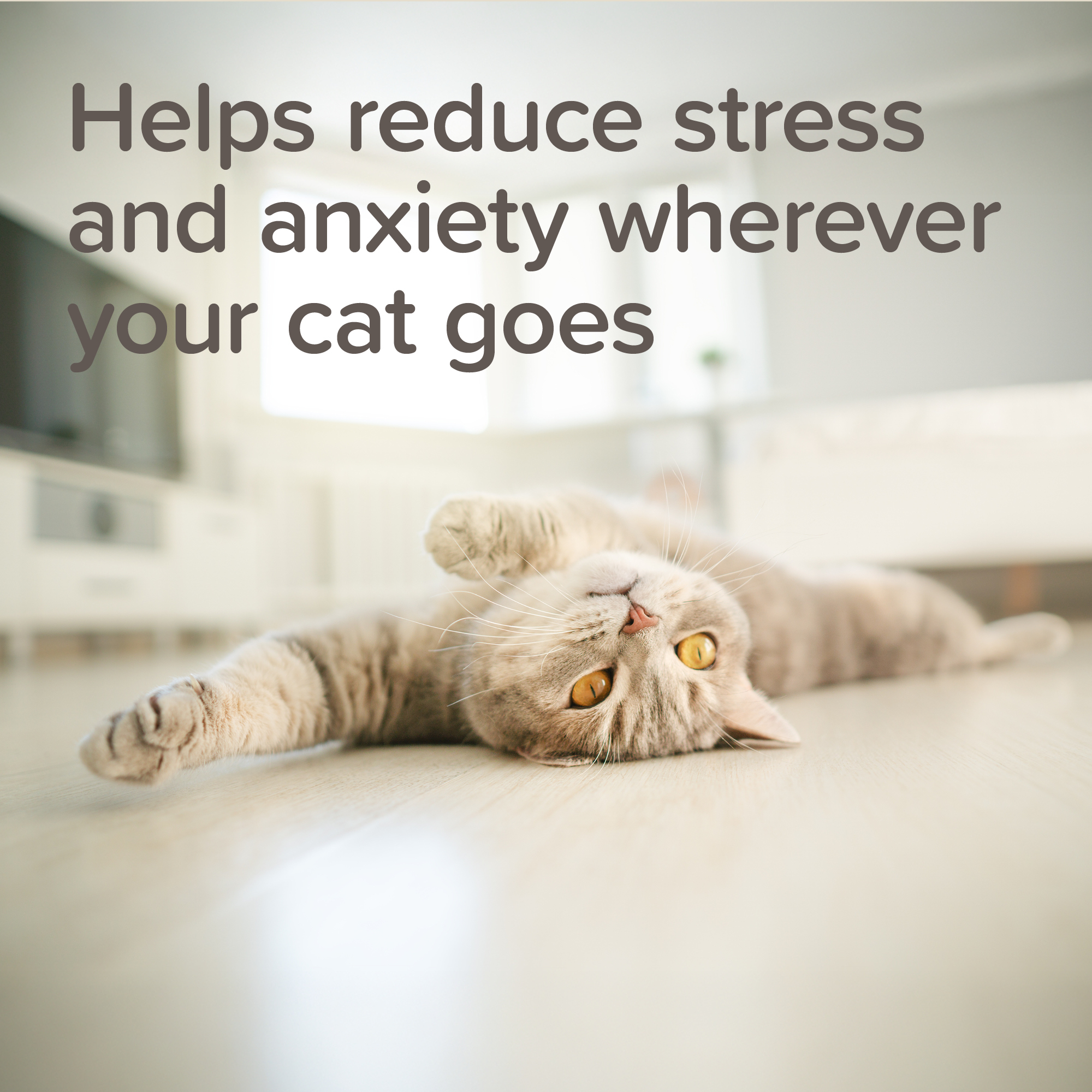 Beaphar StressLess Herbal Calming Tablets For Cats & Dogs, 20 tablets