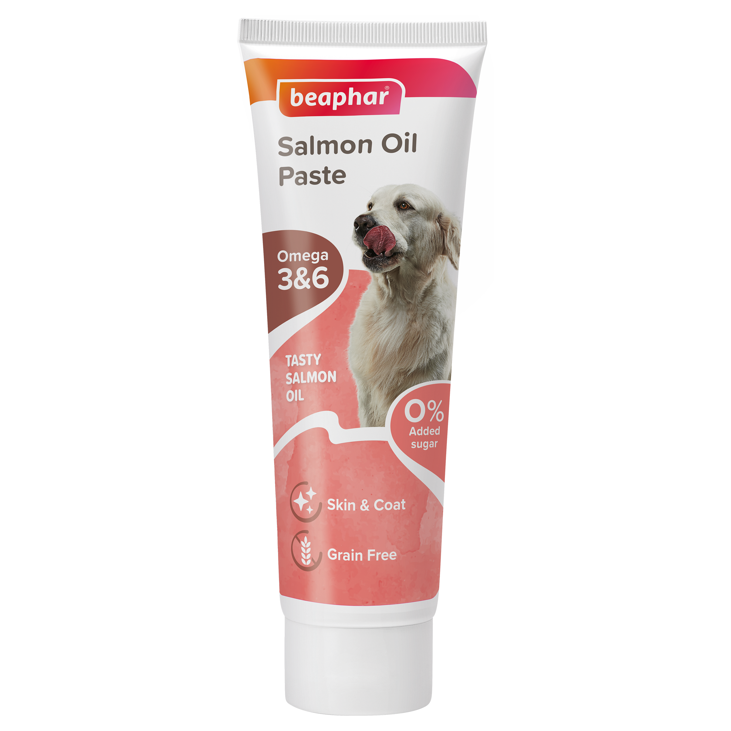 Salmon Pasta pro psy