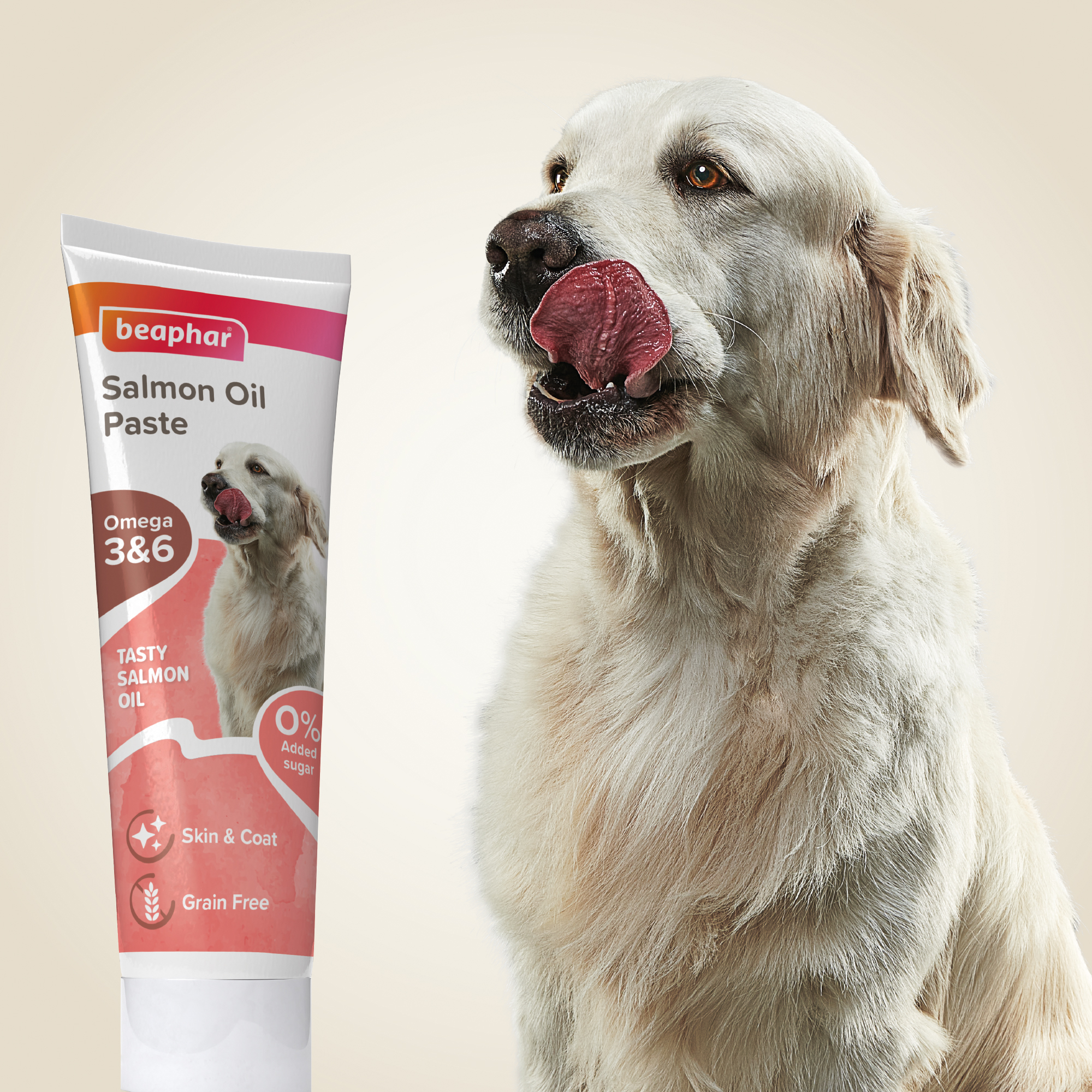 Lazacolajos paszta kutyáknak