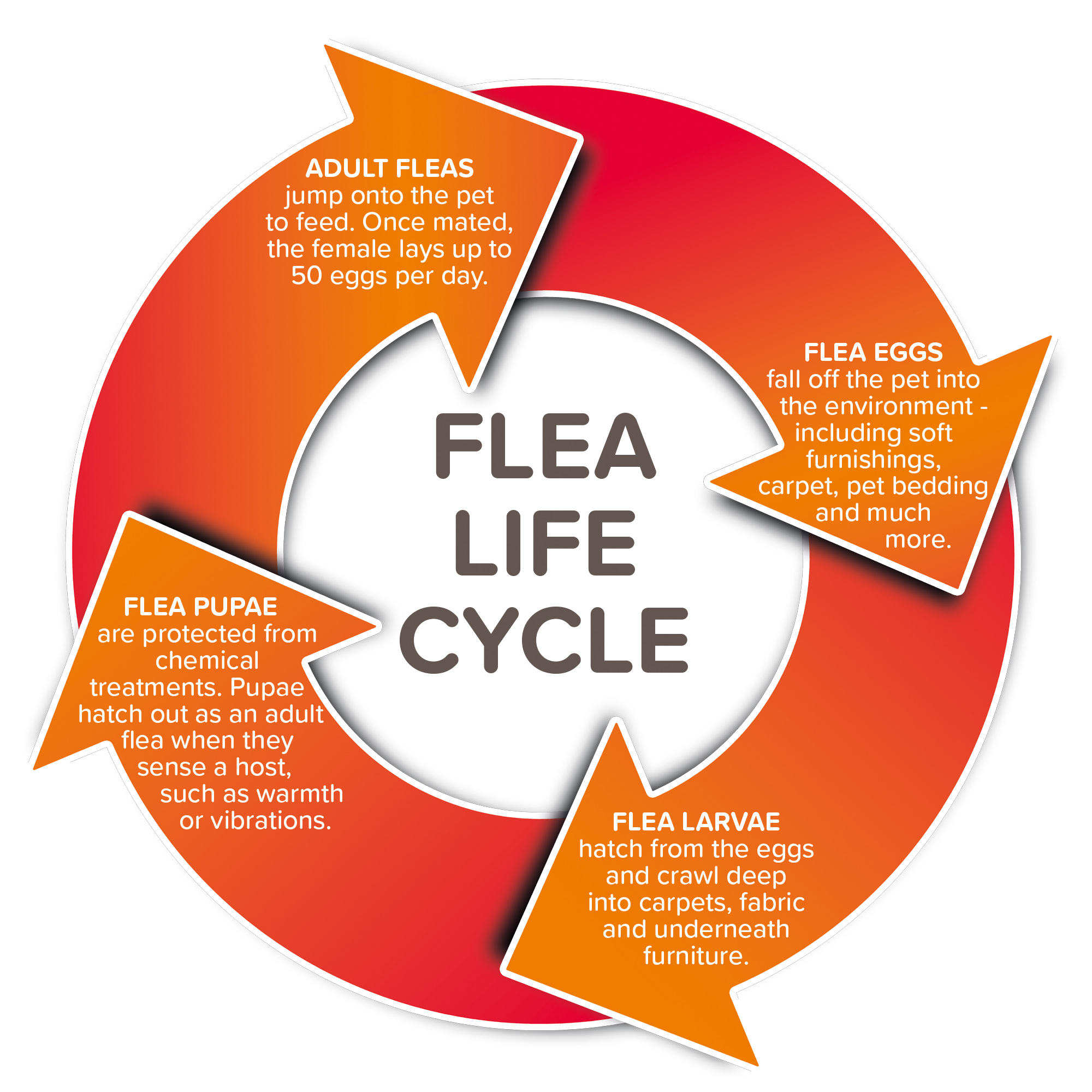 Beaphar FIPROtec® Spray Dog & Cat