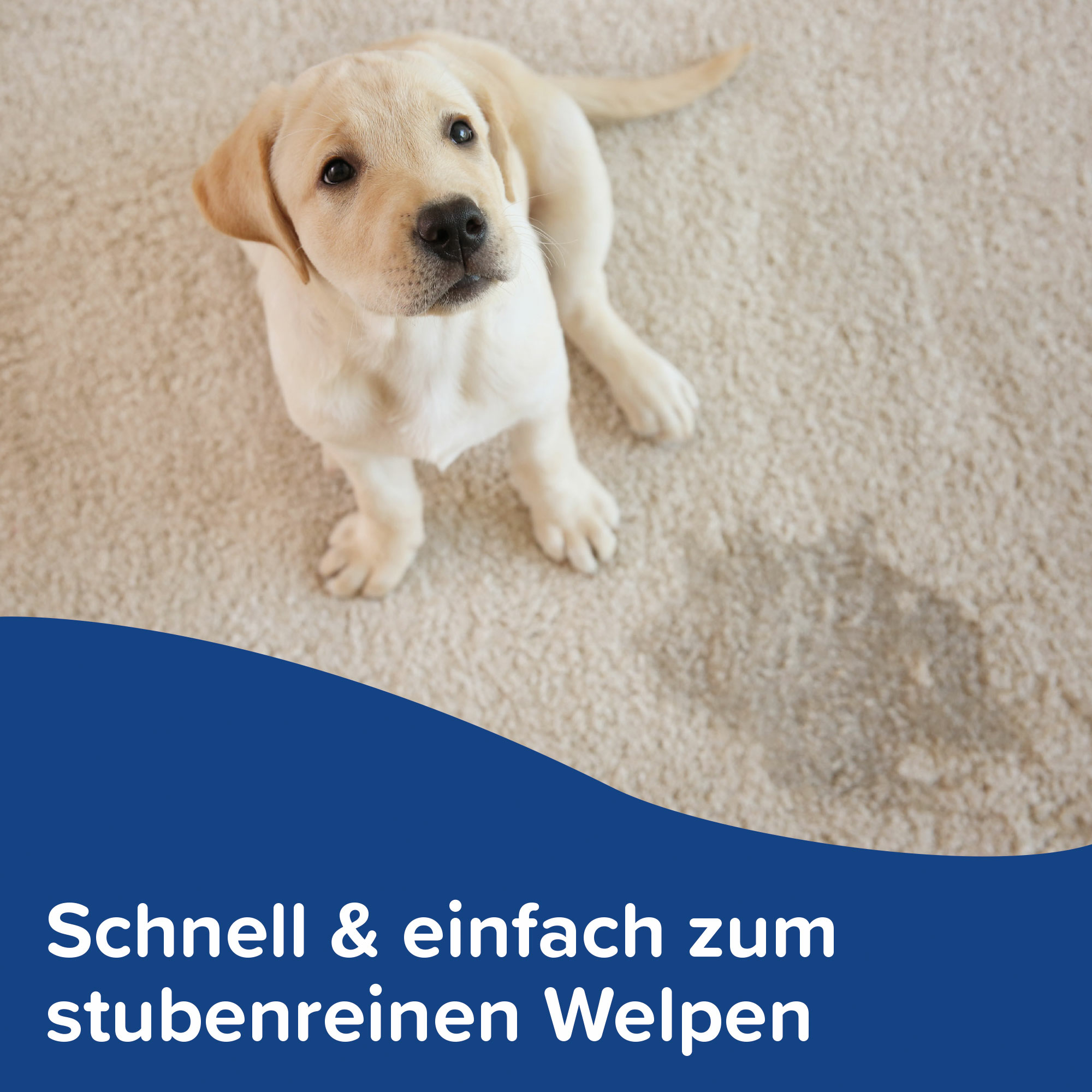 Puppy Pads (60x60cm), 7 St.