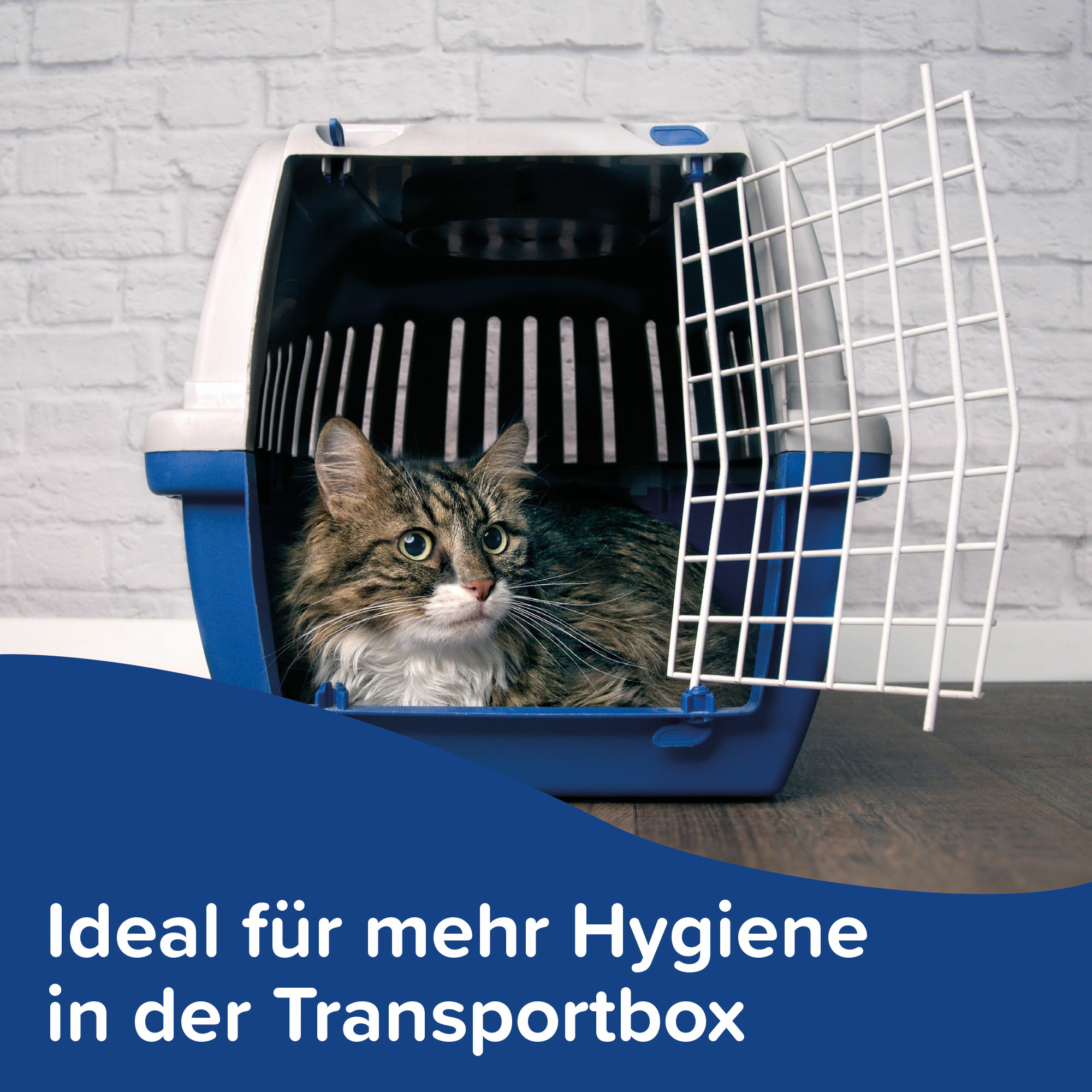 Puppy Pads (60x60cm), 7 St.