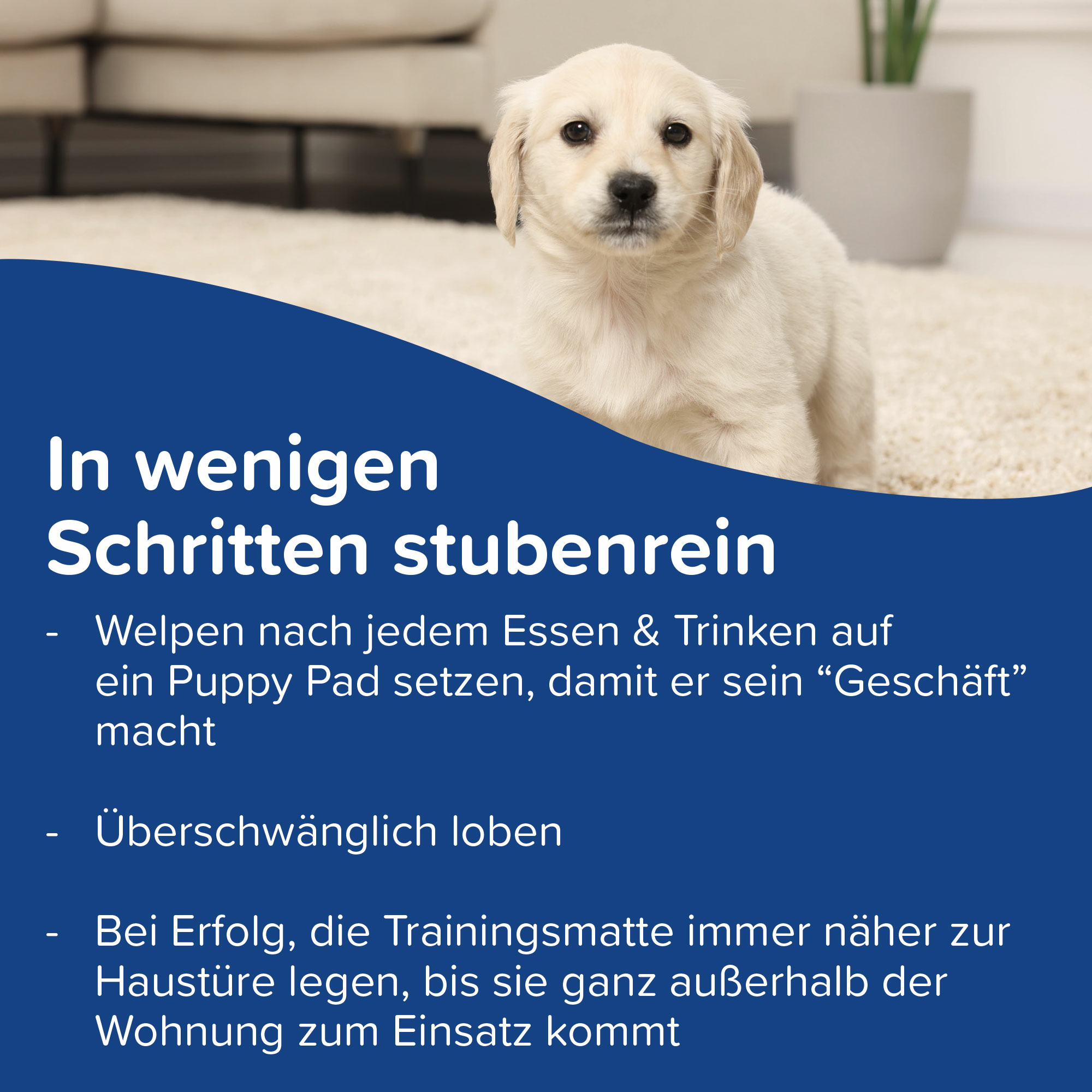 Puppy Pads (60x60cm), 7 St.