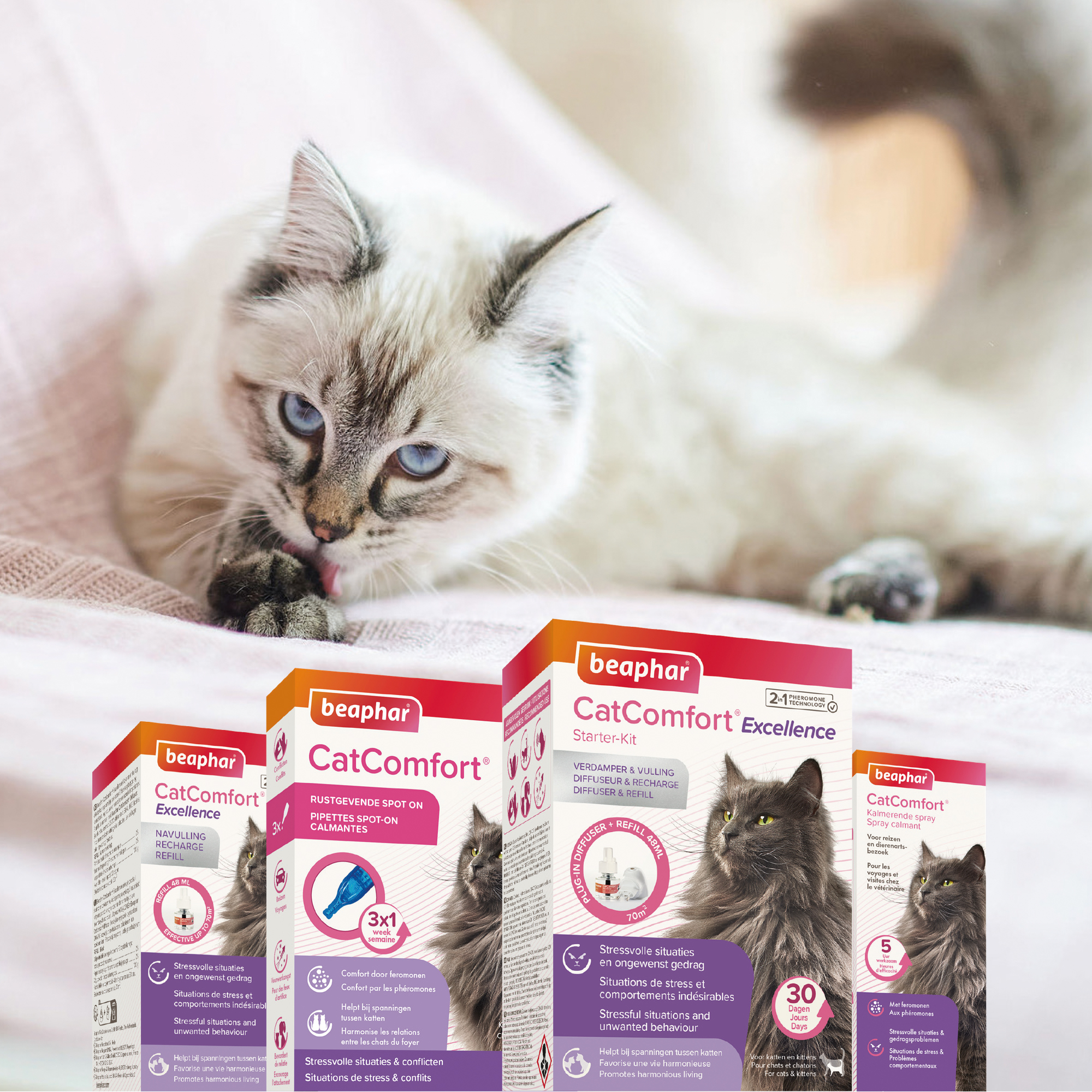 Beaphar CatComfort® Kalmerende spray 60ml
