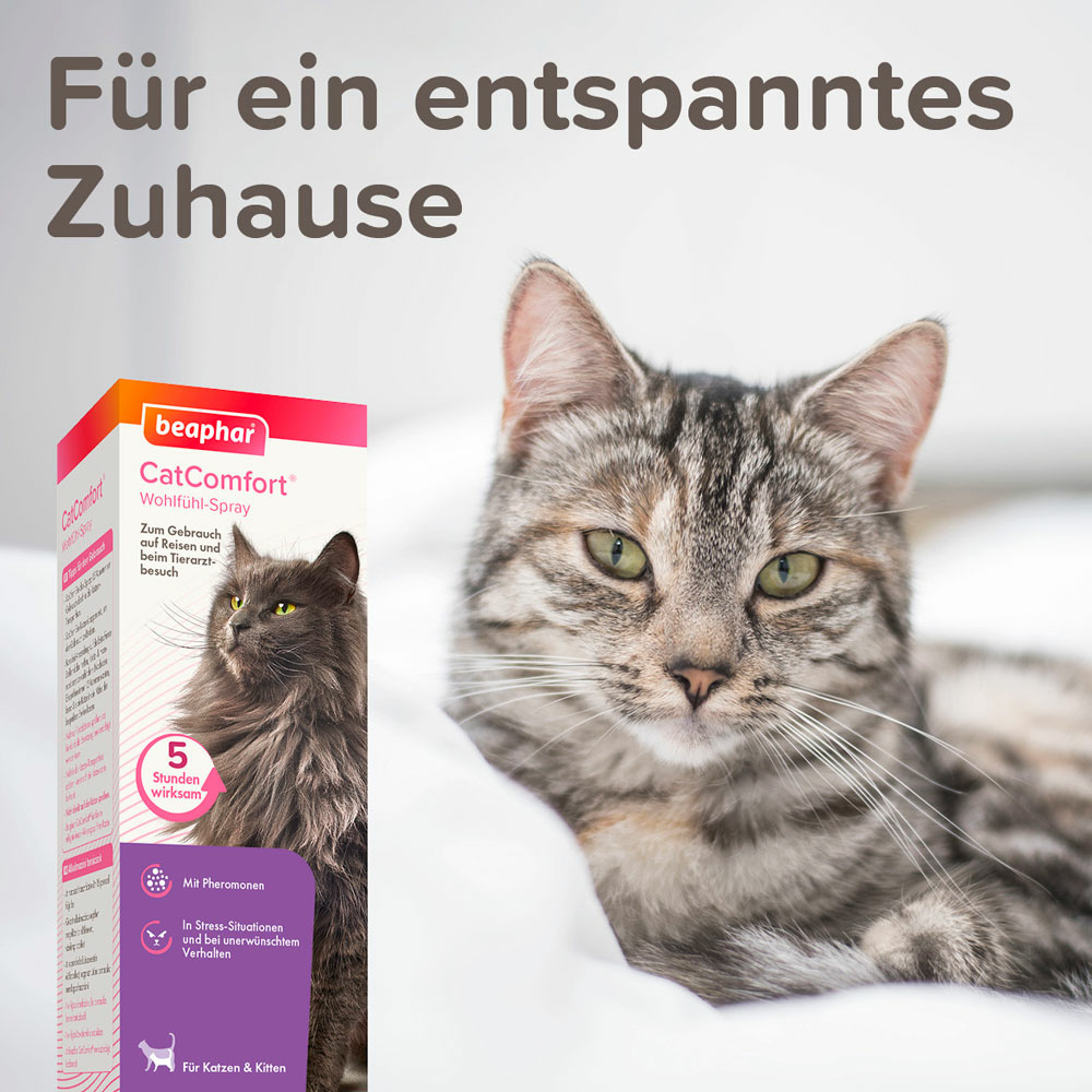 Beaphar CatComfort® Wohlfühl-Spray, 30ml