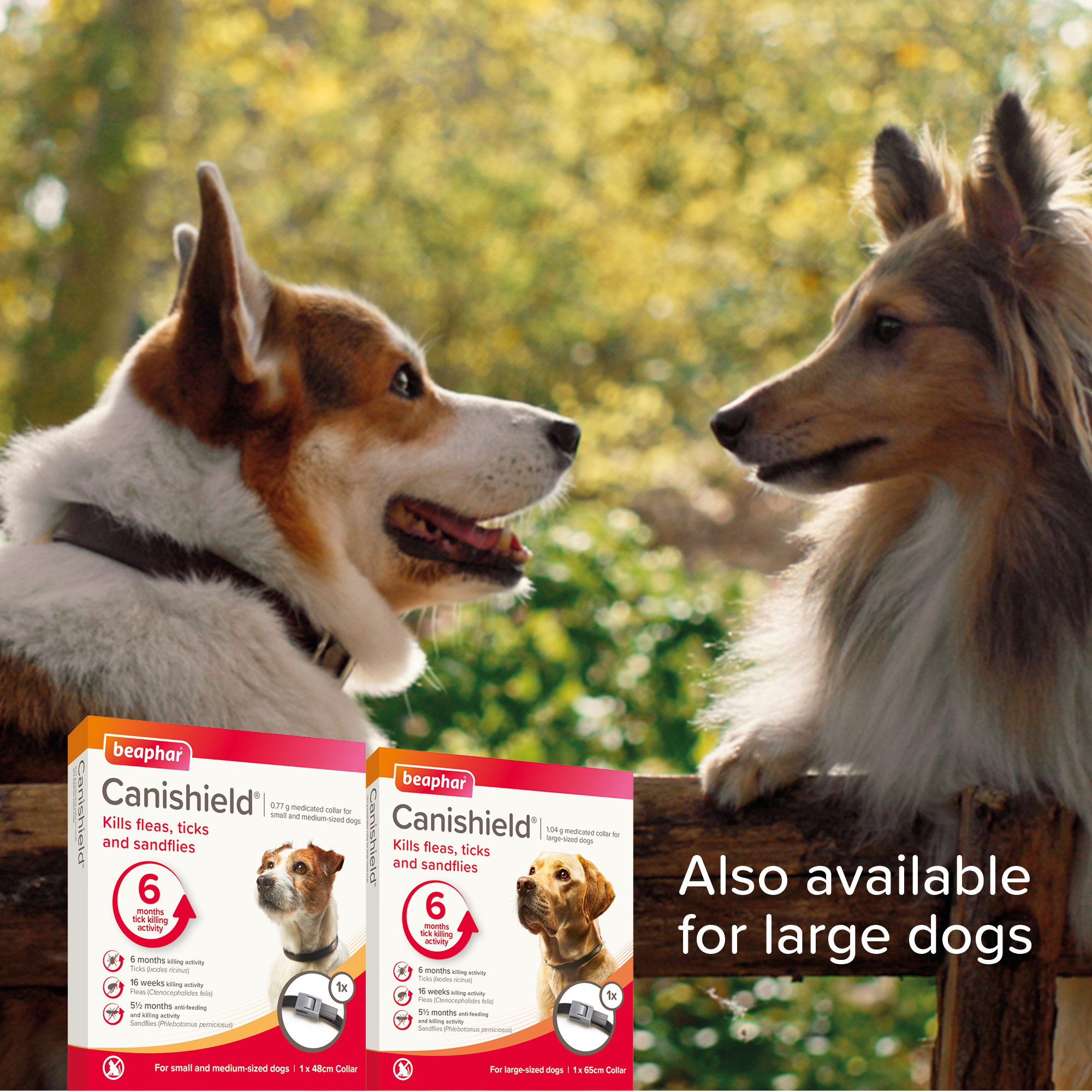 Beaphar Canishield® Flea & Tick Collar for Small & Medium Dogs – up to 48cm
