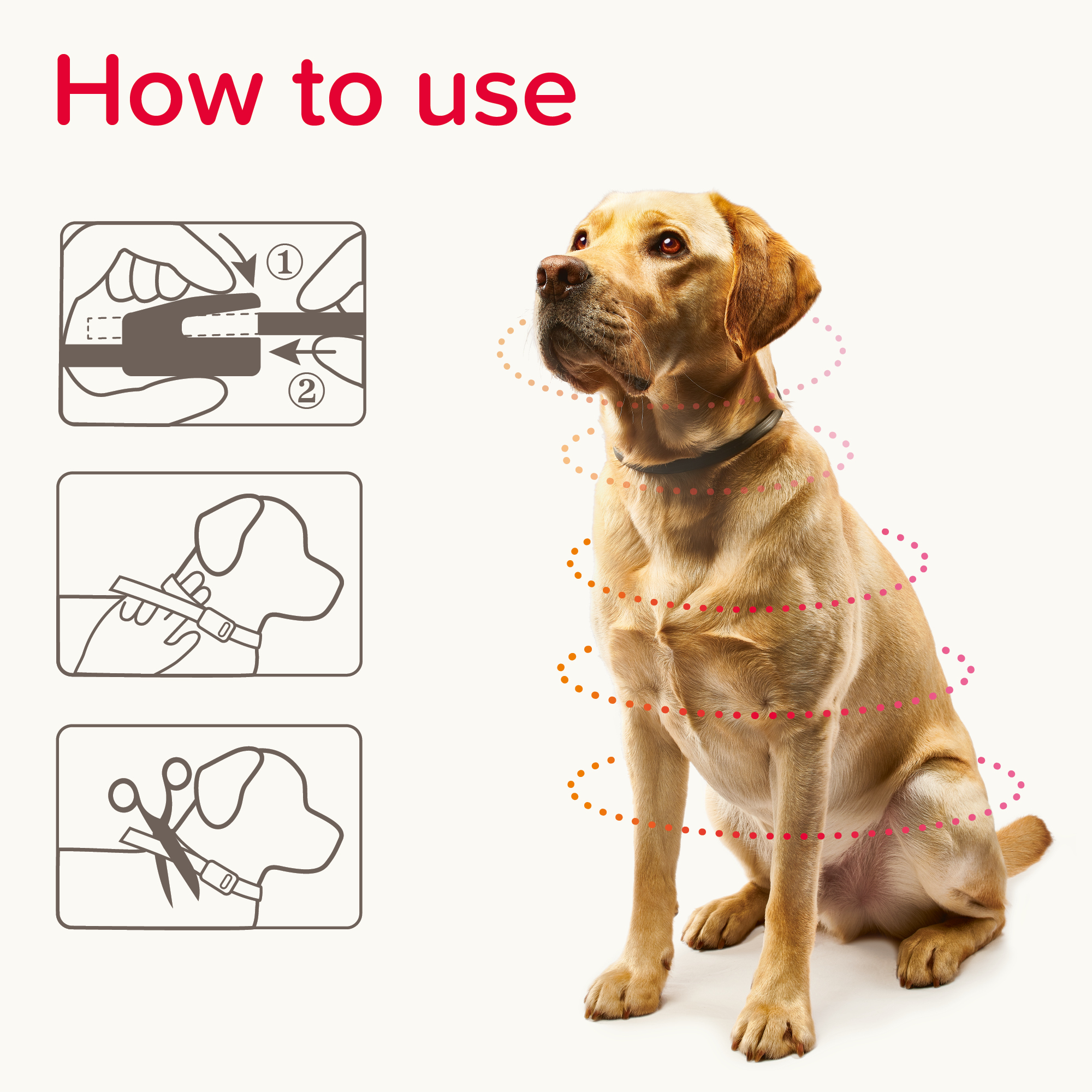 Beaphar Canishield® Flea & Tick Collar for Large Dogs – up to 65cm