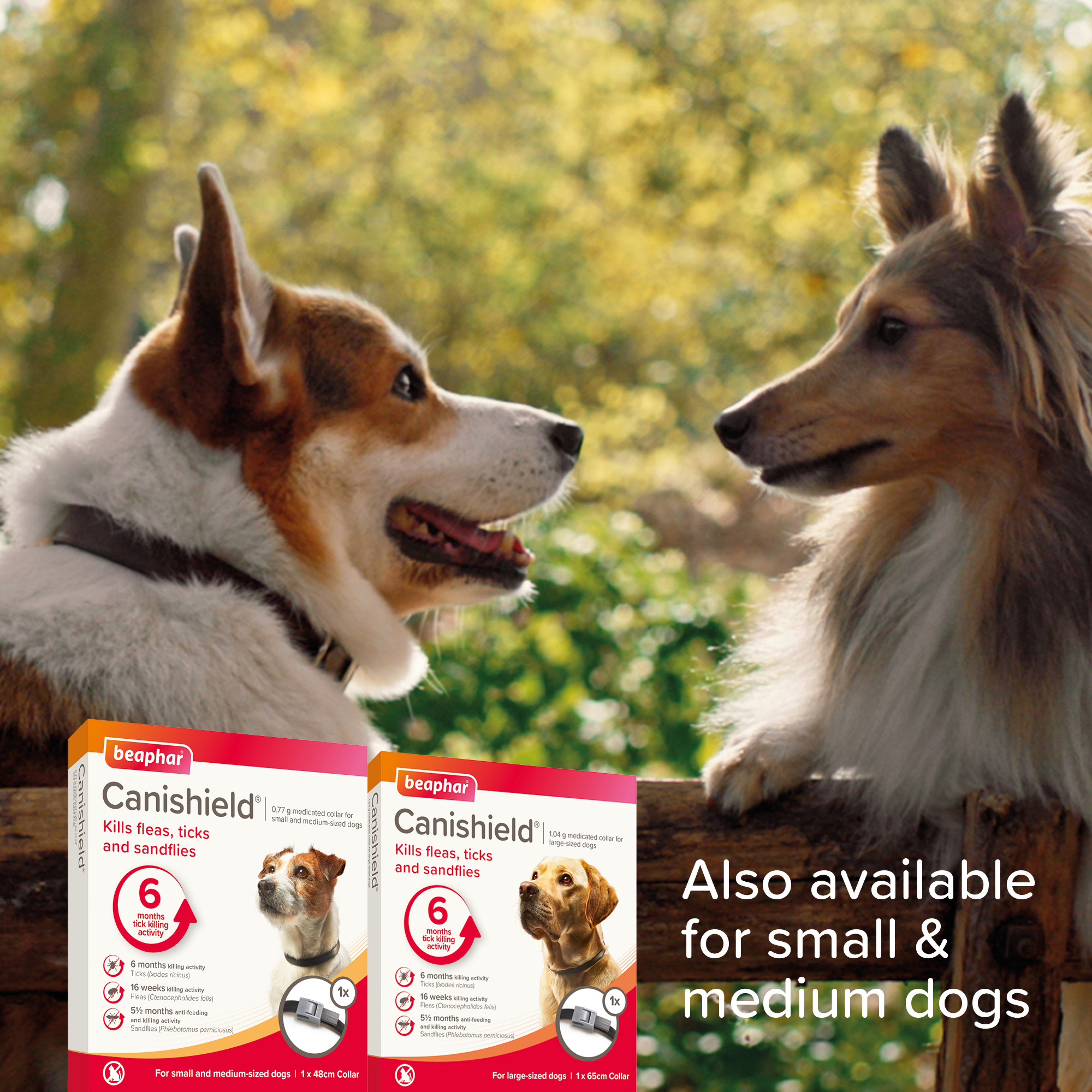 Beaphar Canishield® Flea & Tick Collar for Large Dogs – up to 65cm