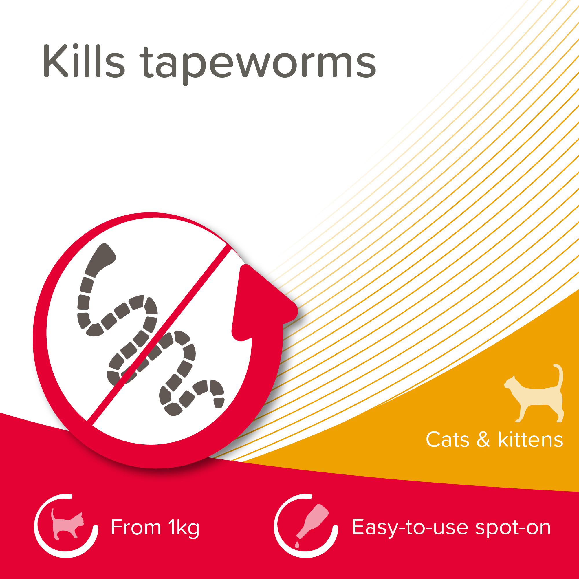 Beaphar WORMclear® Worming Spot-On for Cats – 2 Pipettes