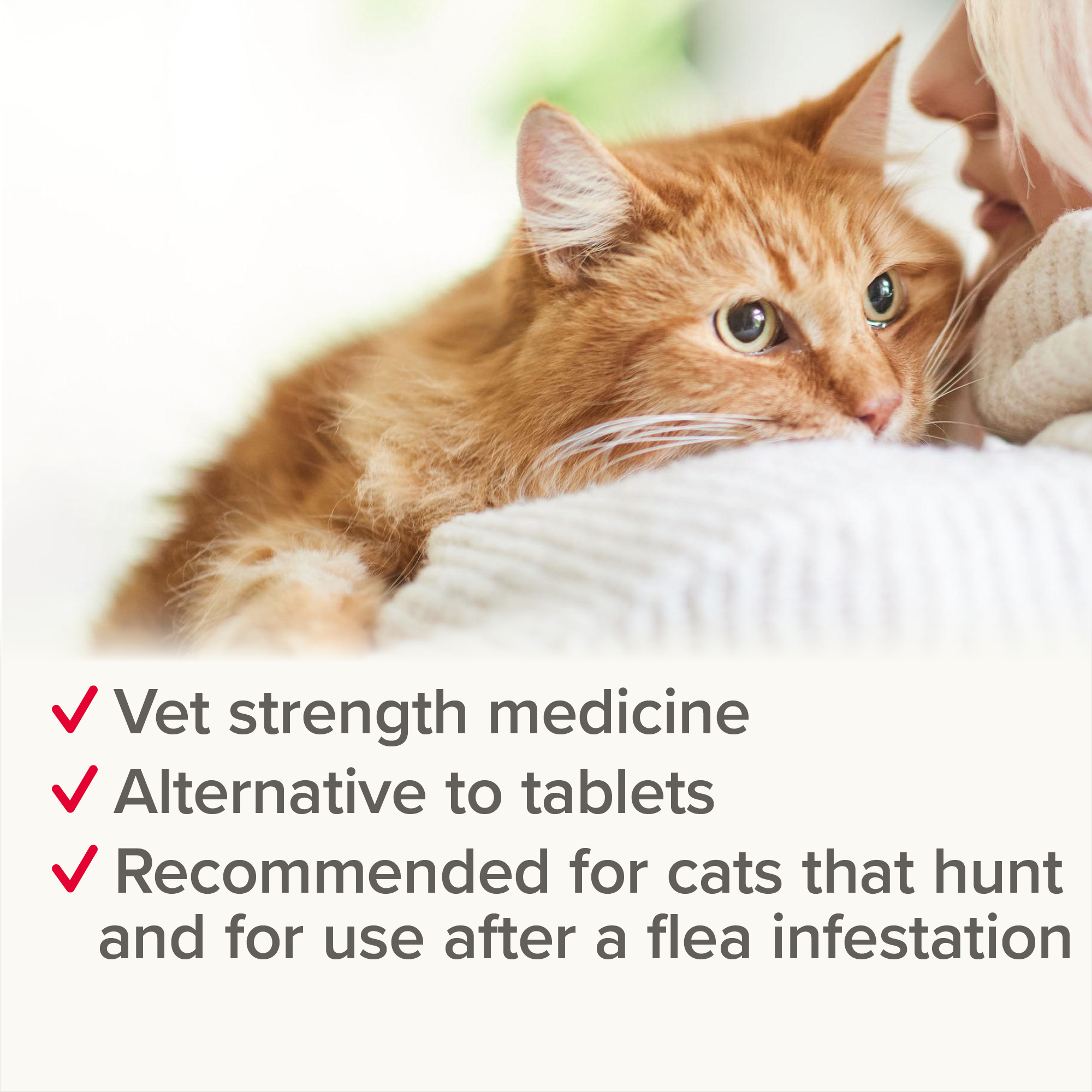 Beaphar WORMclear® Worming Spot-On for Cats – 2 Pipettes