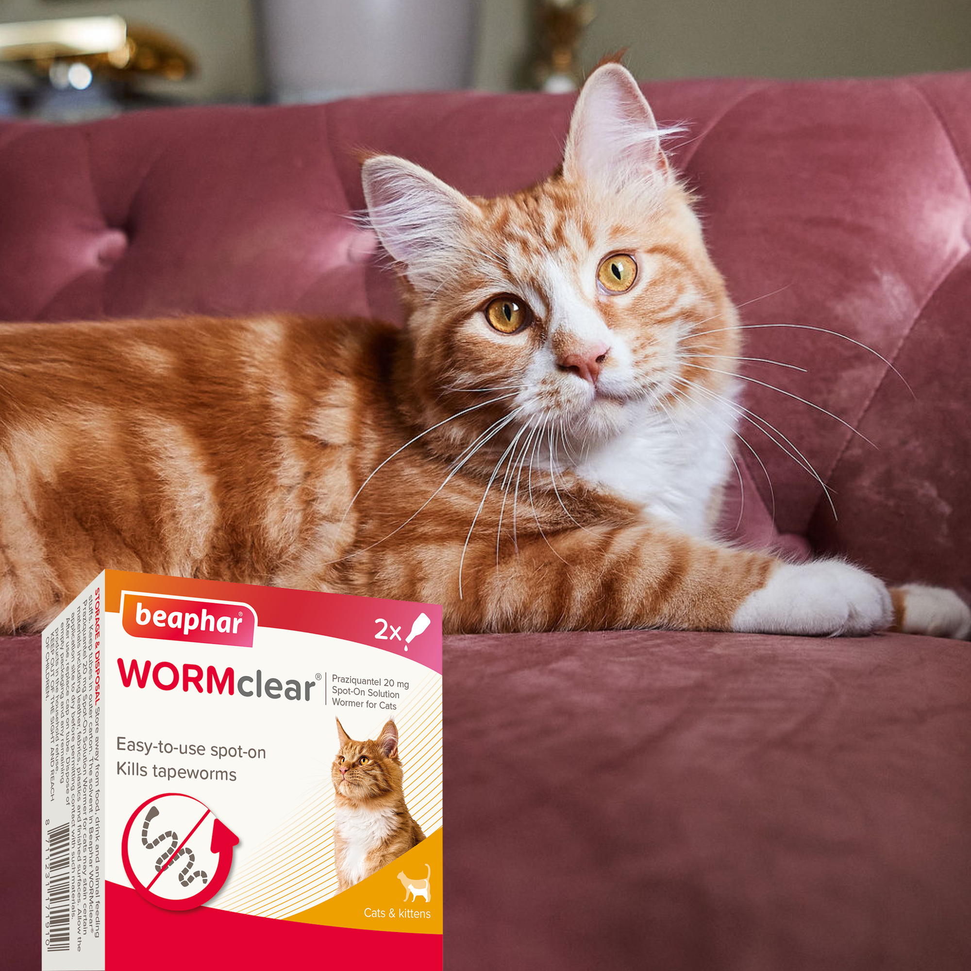 Beaphar WORMclear® Worming Spot-On for Cats – 2 Pipettes