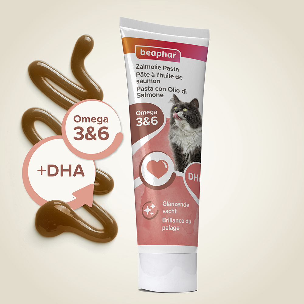 Beaphar Zalmolie Pasta 100g