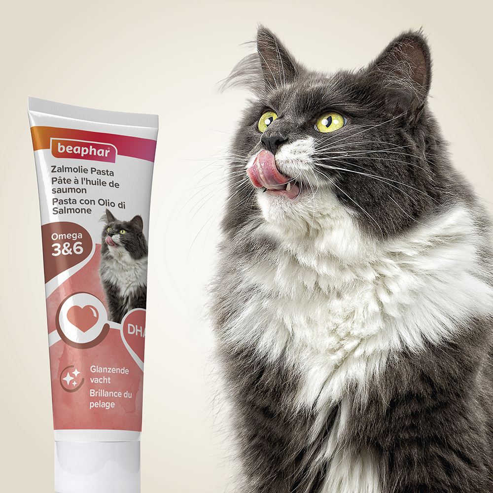 Beaphar Zalmolie Pasta 100g