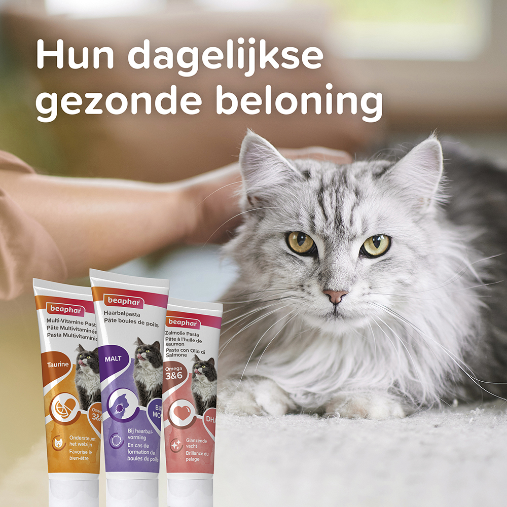 Beaphar Haarbalpasta malt 100g