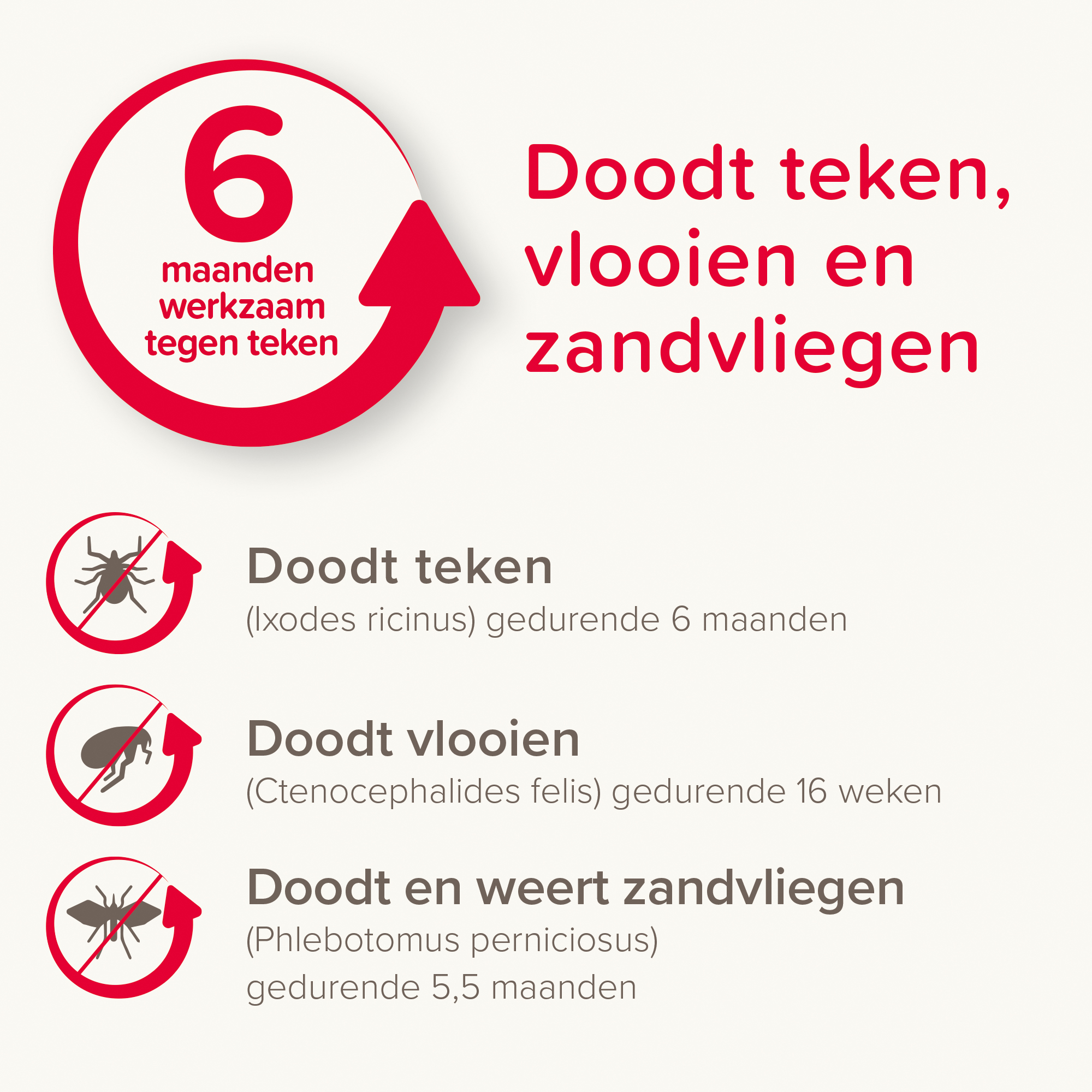 Beaphar Canishield® hond band klein/middel 48cm 1st