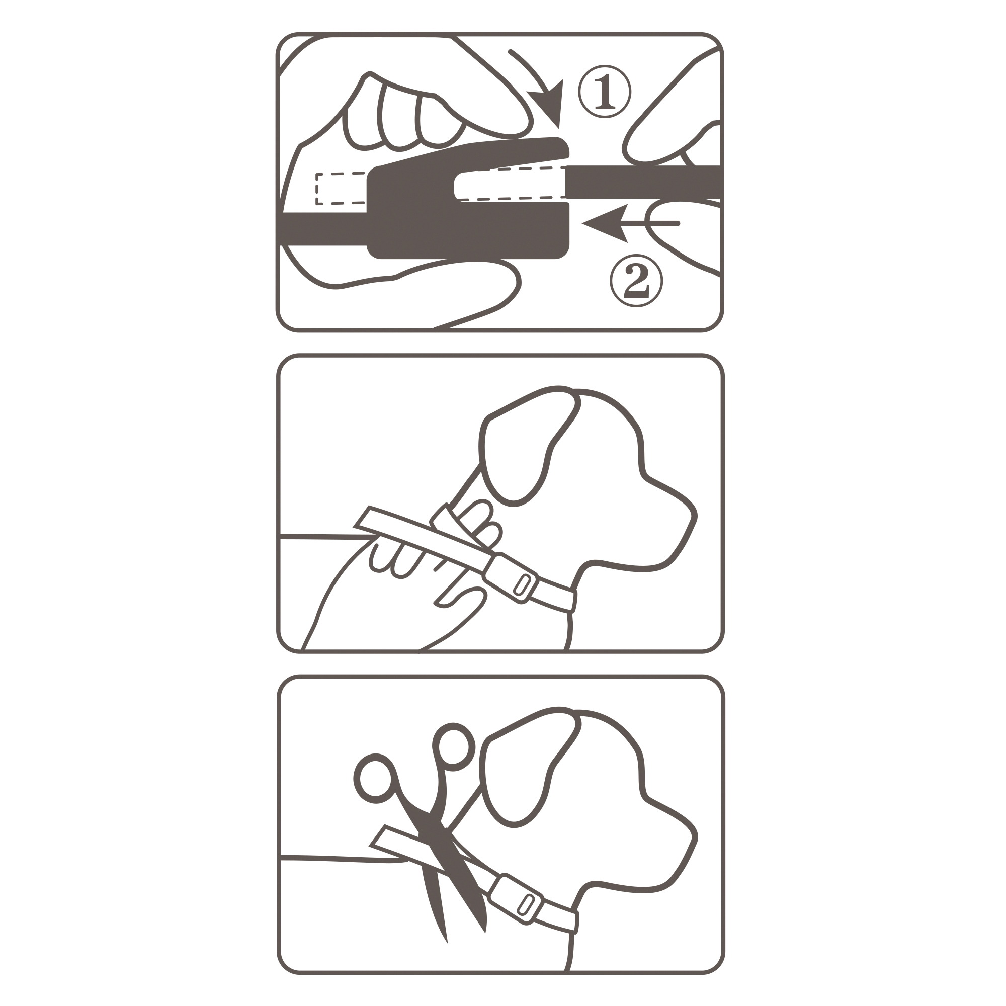 Beaphar Canishield® hond band groot 65cm 1st
