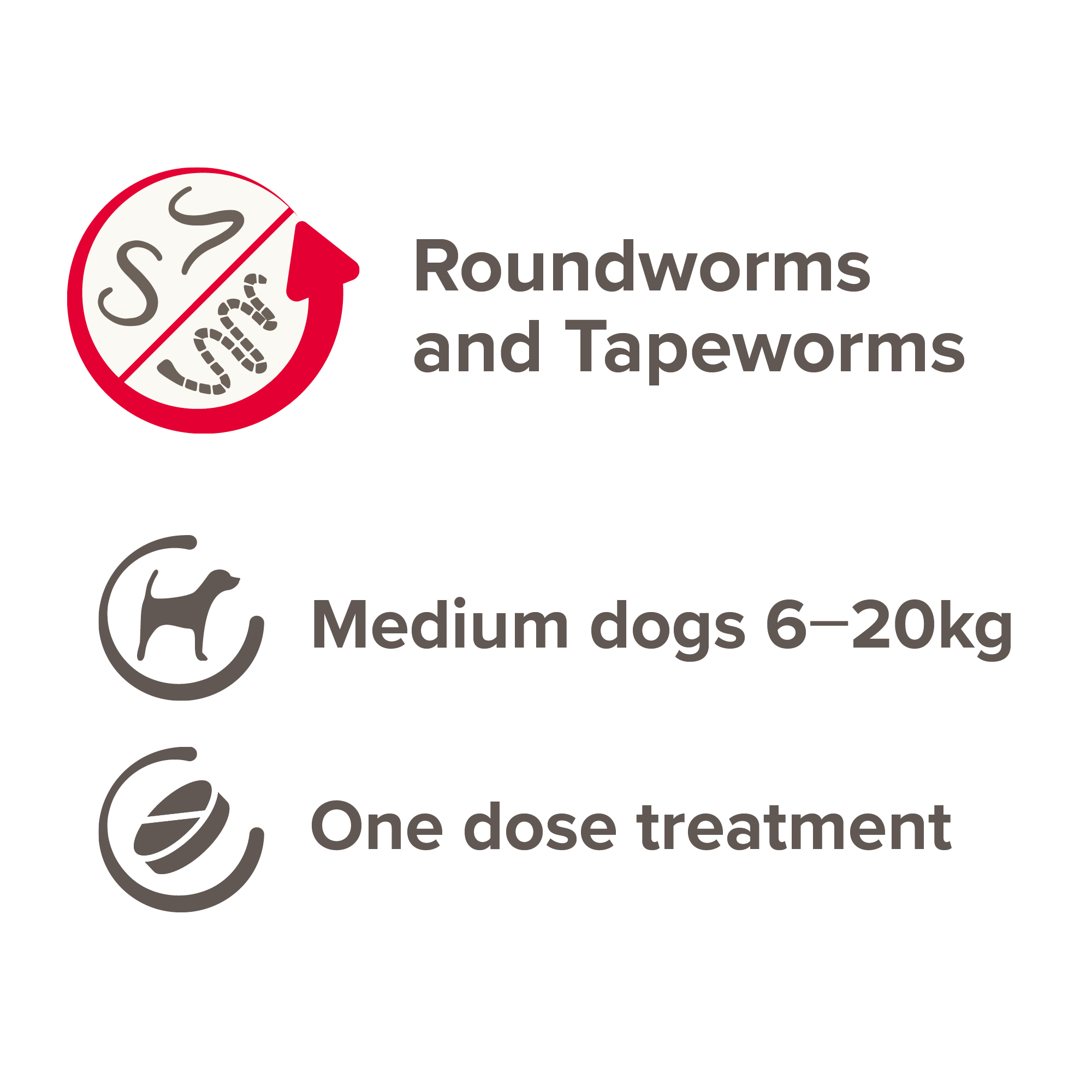 Beaphar One Dose Worming Tablets (For Medium Dogs 6-20kg), 2 tablets