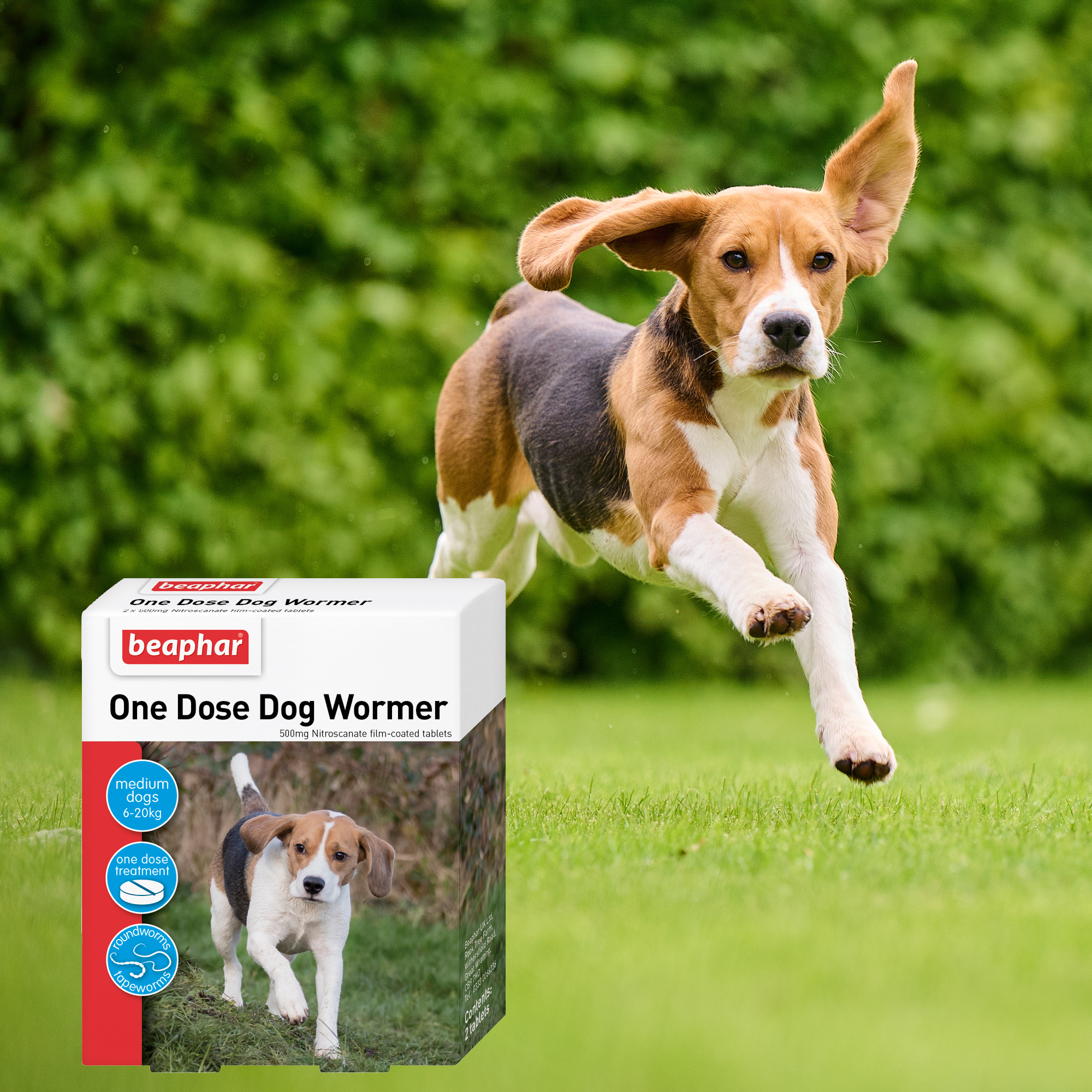 Beaphar One Dose Worming Tablets (For Medium Dogs 6-20kg), 2 tablets