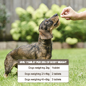 Beaphar One Dose Worming Tablets (For Small Dogs up to 6kg), 3 tablets