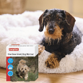 Beaphar One Dose Worming Tablets (For Small Dogs up to 6kg), 3 tablets