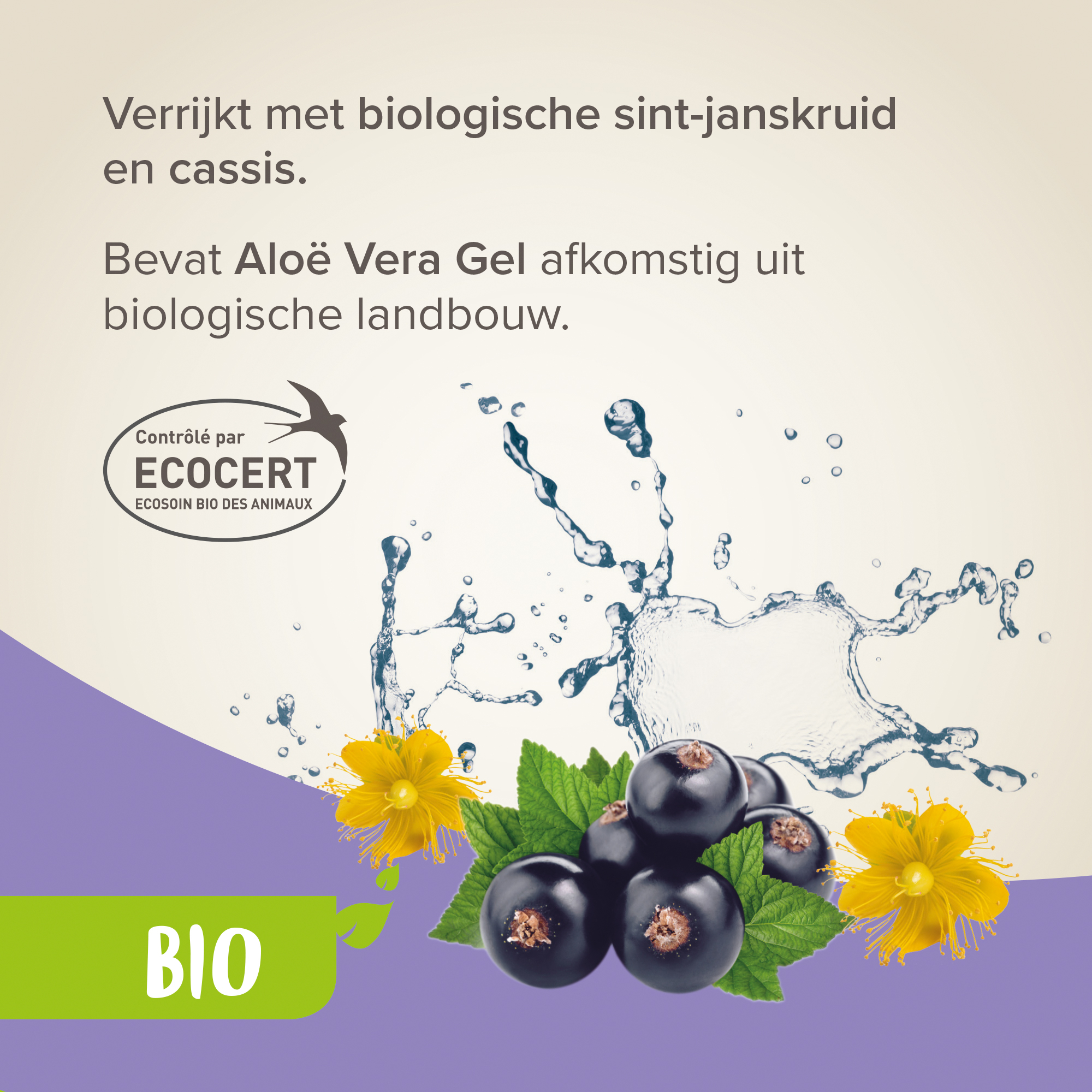 Beaphar Bio Shampoo bij Jeuk hond 200ml