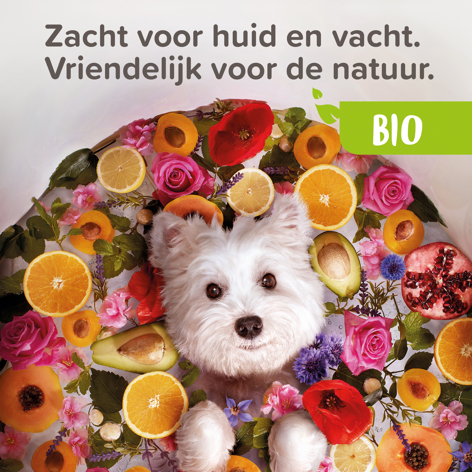 Beaphar Bio Shampoo bij Jeuk hond 200ml