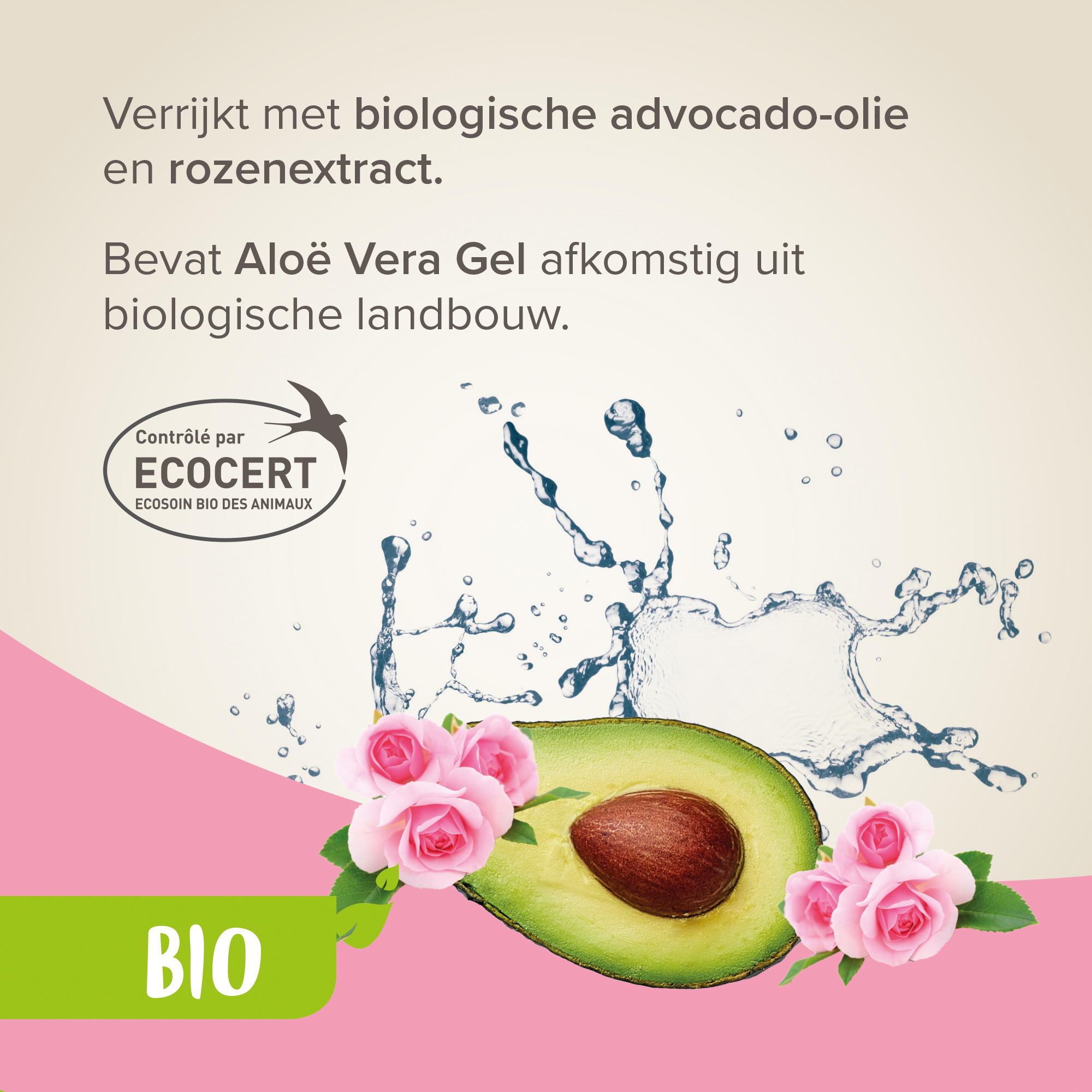 Beaphar Bio Shampoo Kat & Kitten 200ml