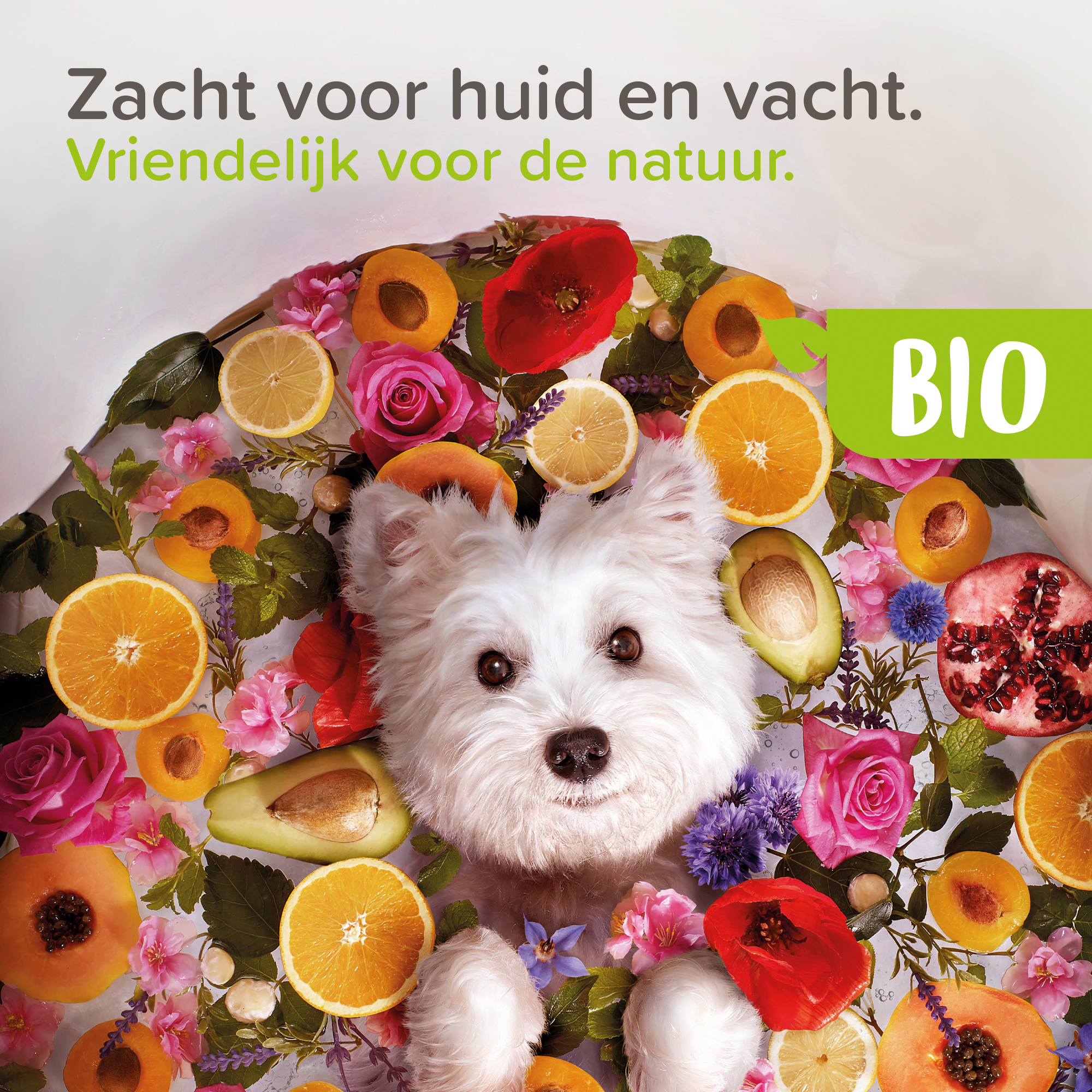 Beaphar Bio Reinigende Lotion Ogen 100ml