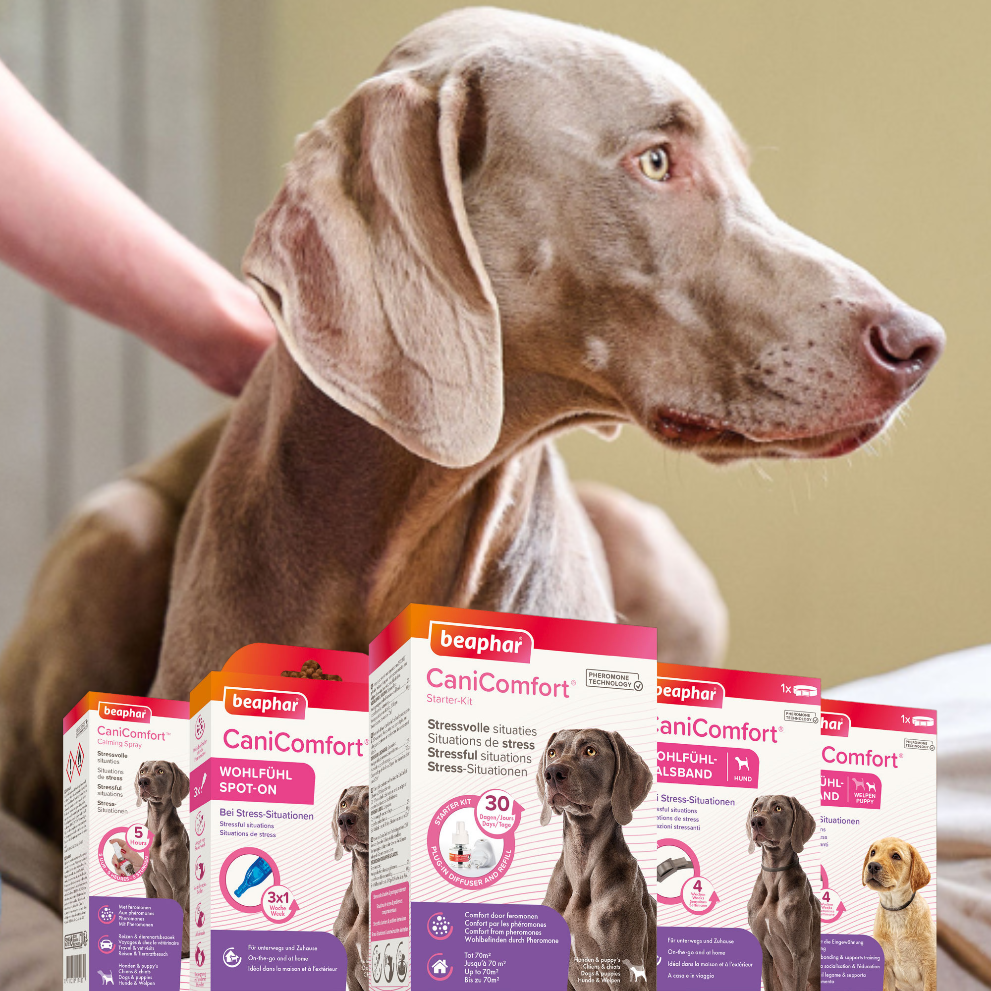 CaniComfort® Starter-Kit Diffuser