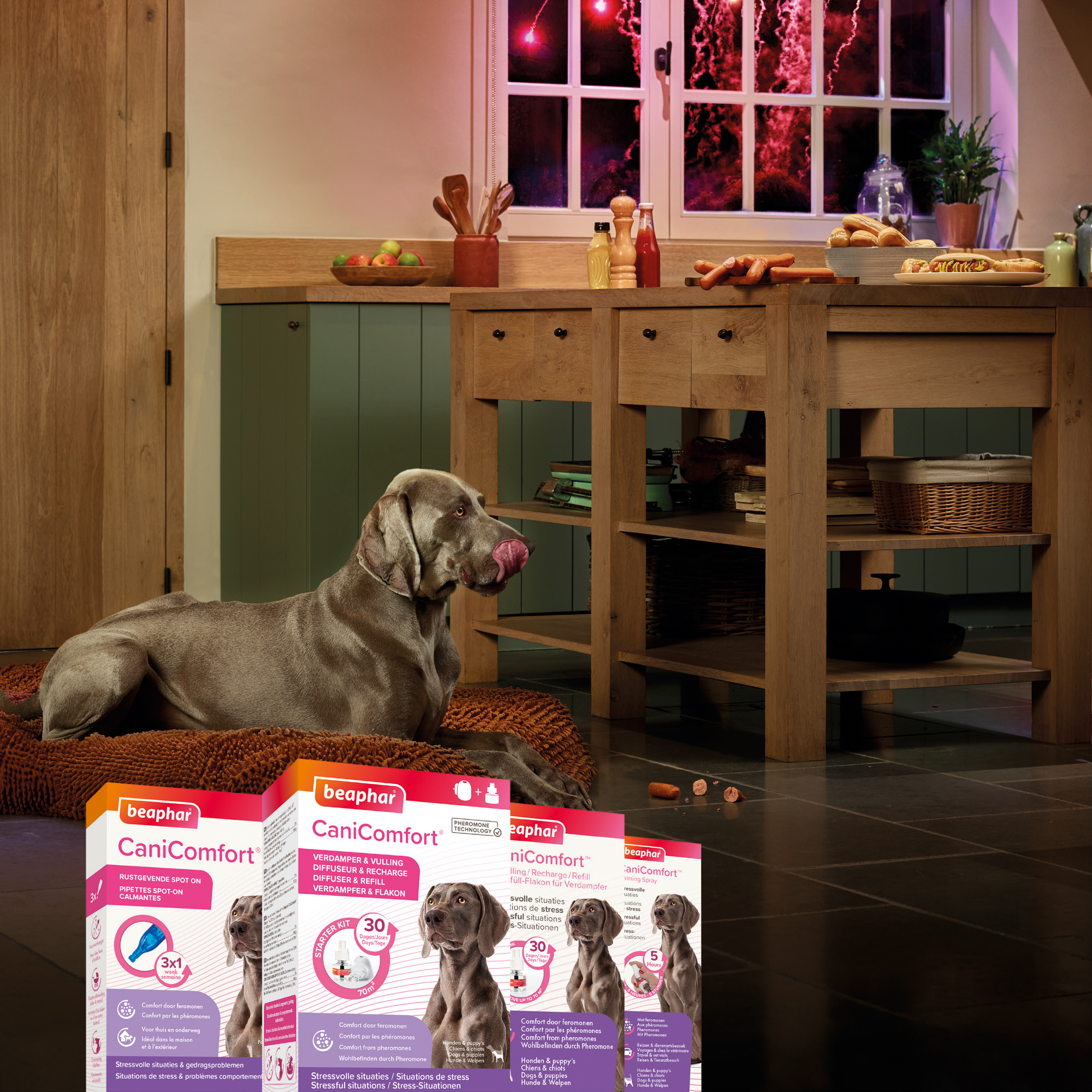 CaniComfort® nyugtató hatású feromonos párologtató utántöltő