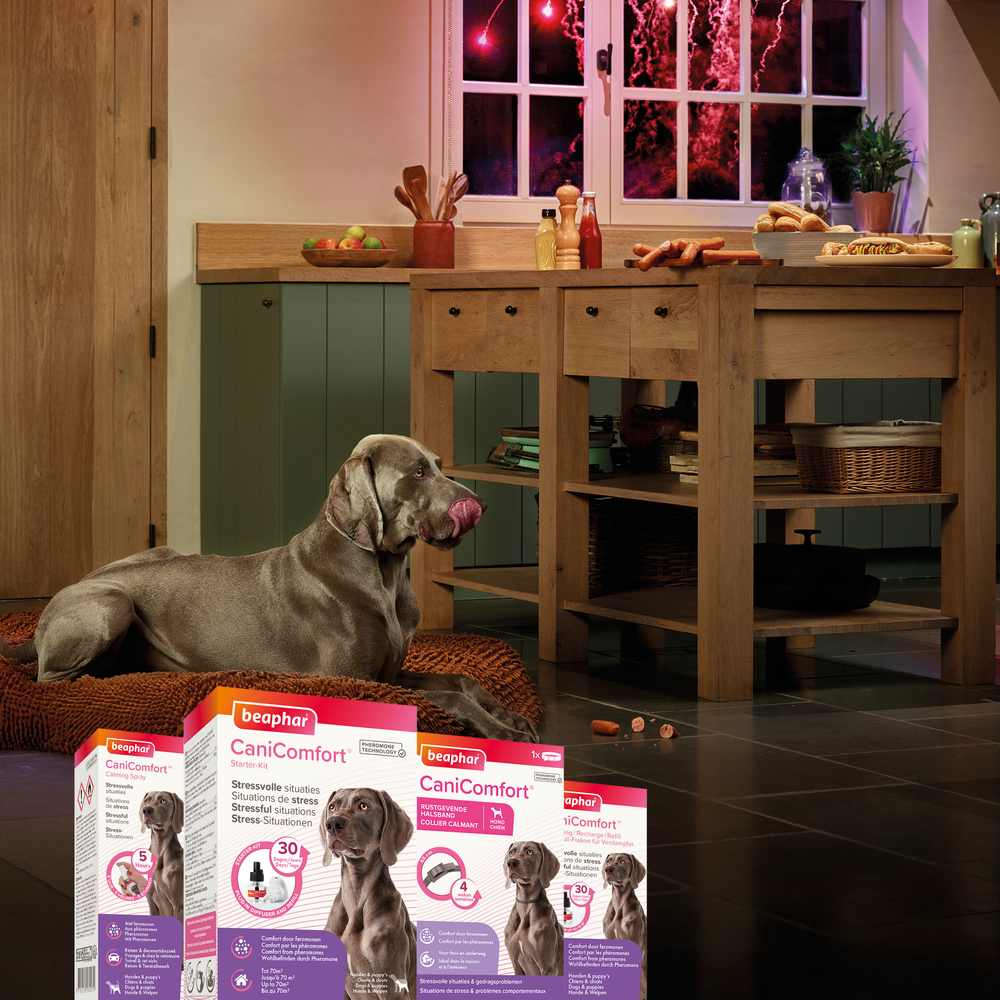 CaniComfort®, diffuseur et recharge calmants pour chiens