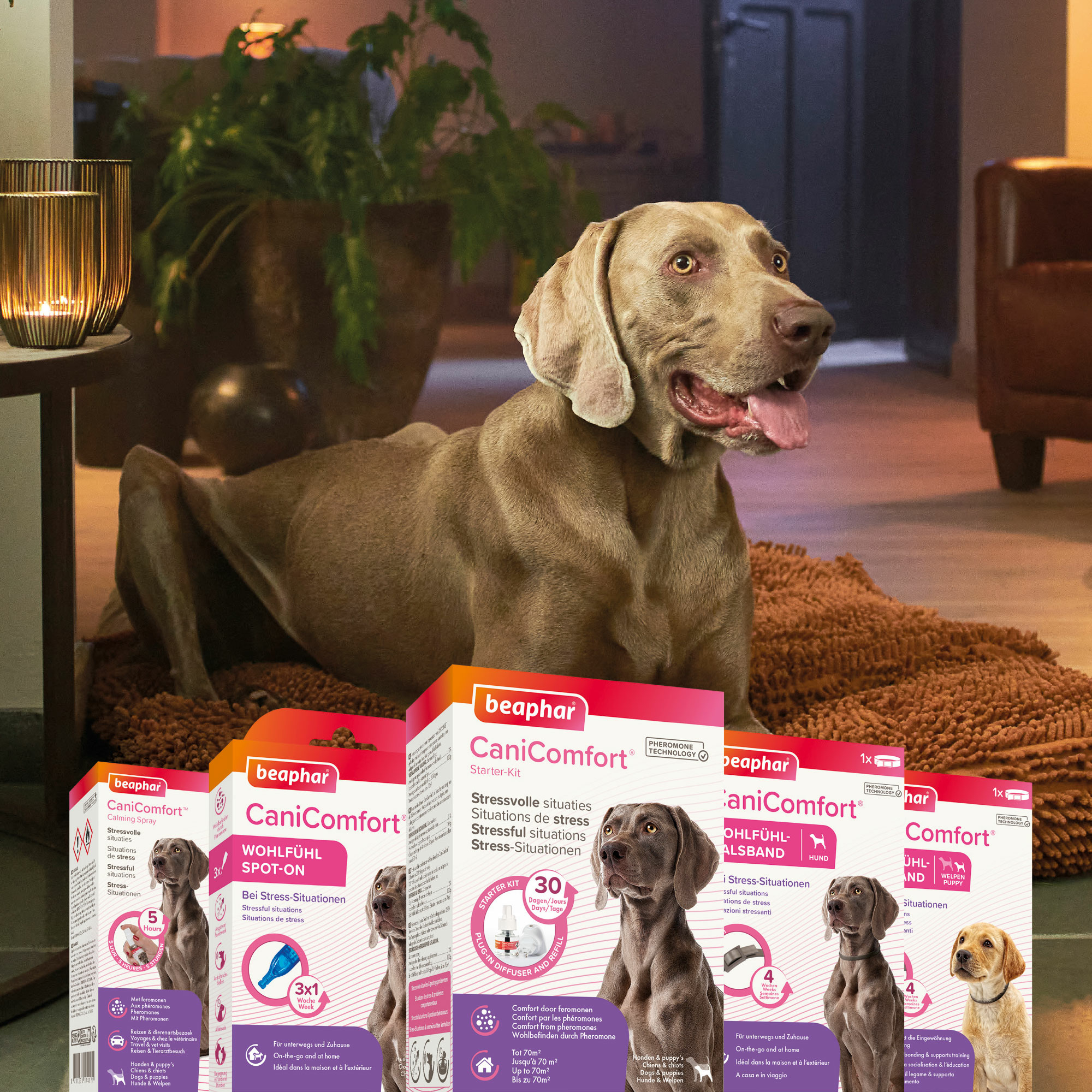 CaniComfort® Starter-Kit Diffuser