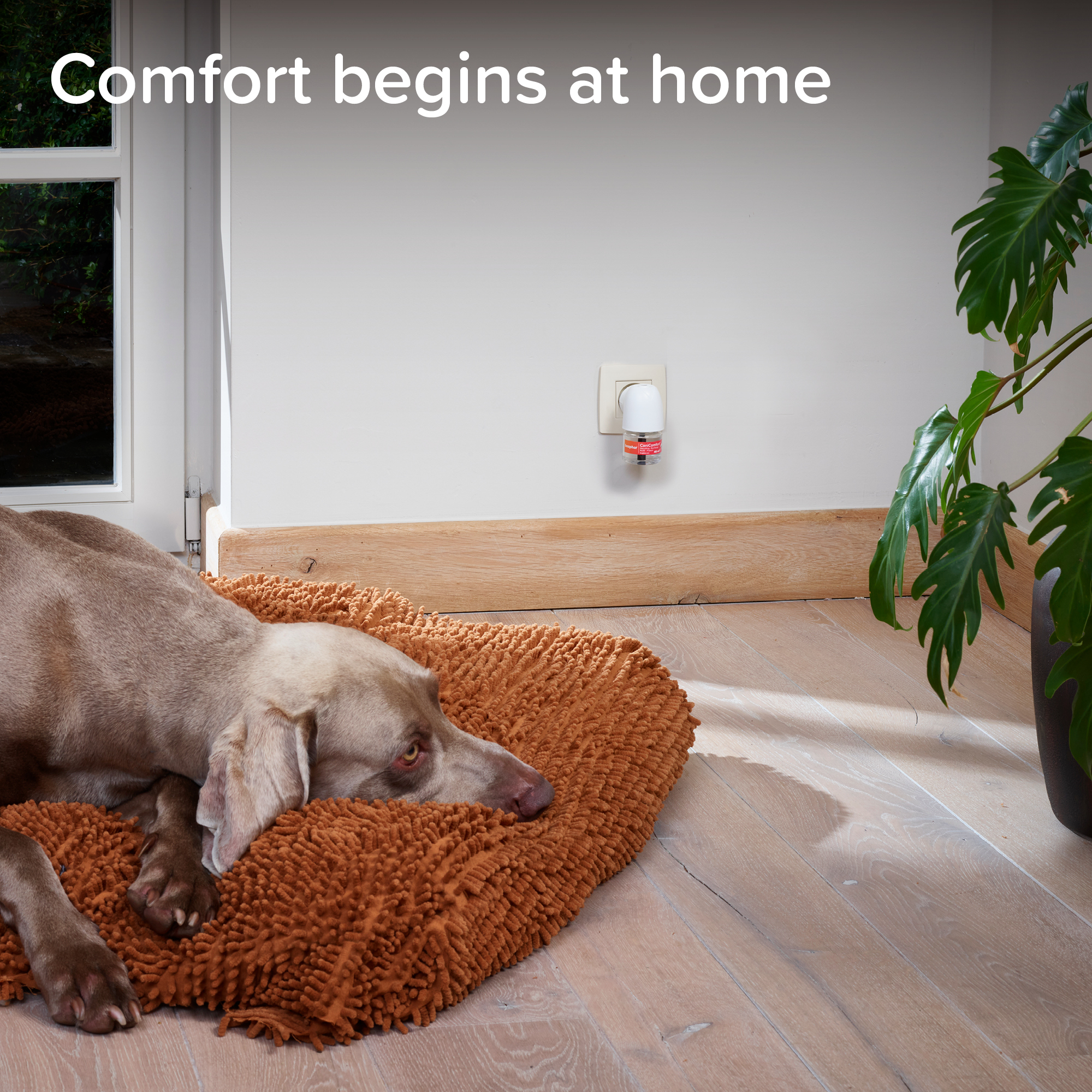 CaniComfort® Calming Diffuser Starter Kit